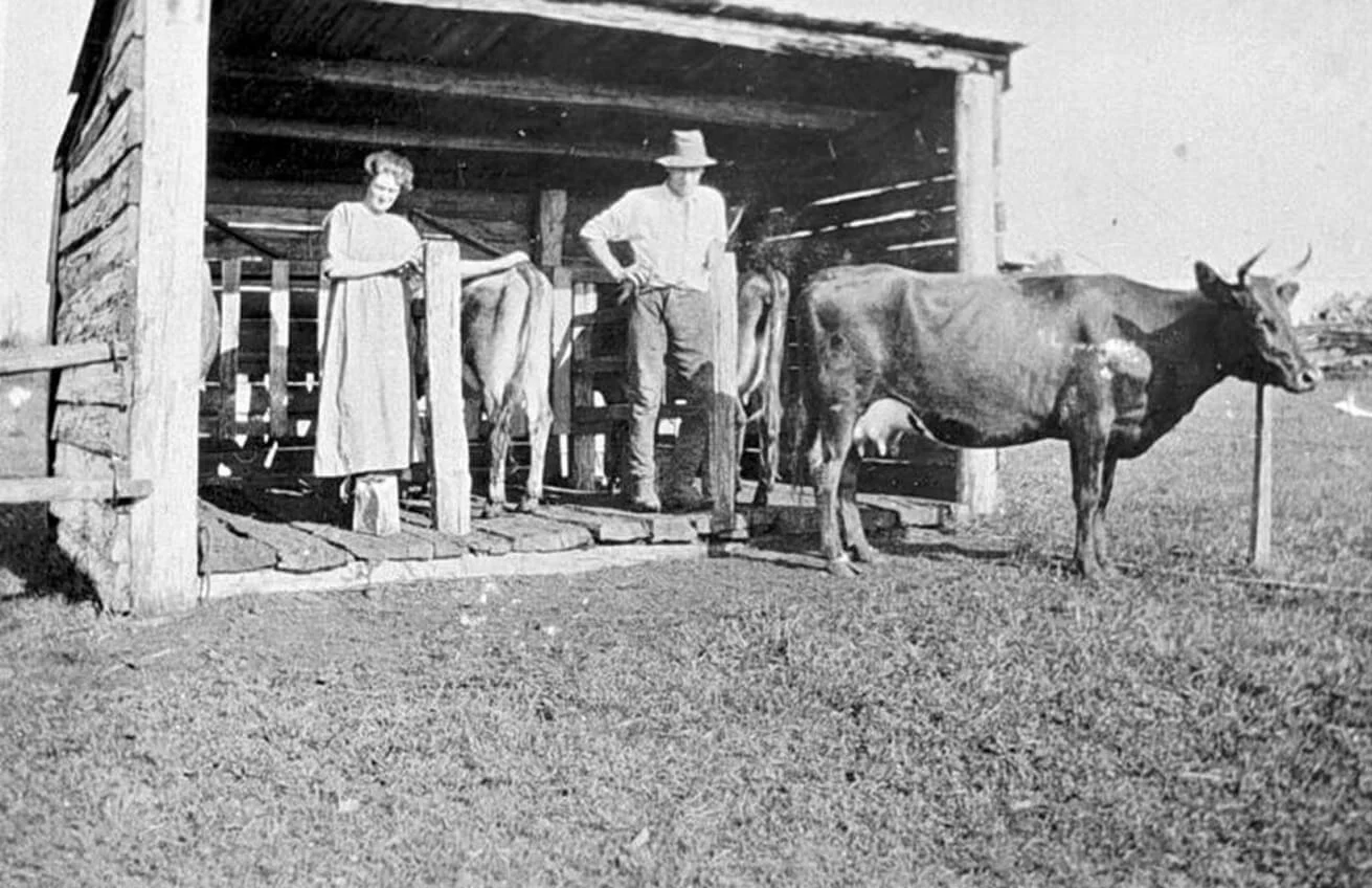 4 December 2025. ‘International Law, Corporations and the ‘Agricultural Problem’’ with Madelaine Chiam