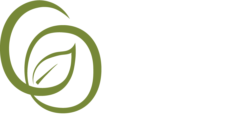 Green Office Project by Banyan Workspace
