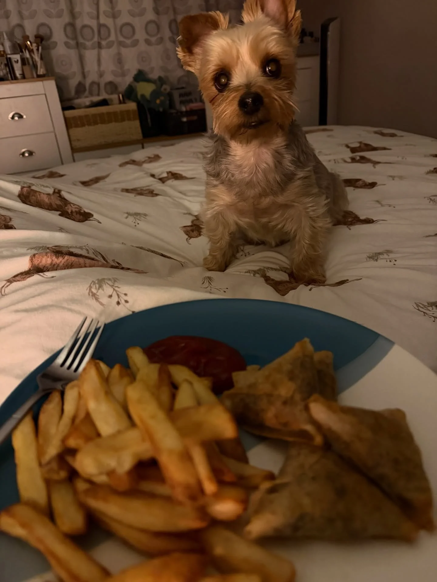 The reality&hellip;day job all day, OurJay CPR/Defib information session tonight, means dinner in bed, with my little date at 10pm. 
But, awareness is key! Met some lovely people tonight 💙🩵💙
#keepfighting #OurJay #CPR #defibssavelives #SAVEALIFE