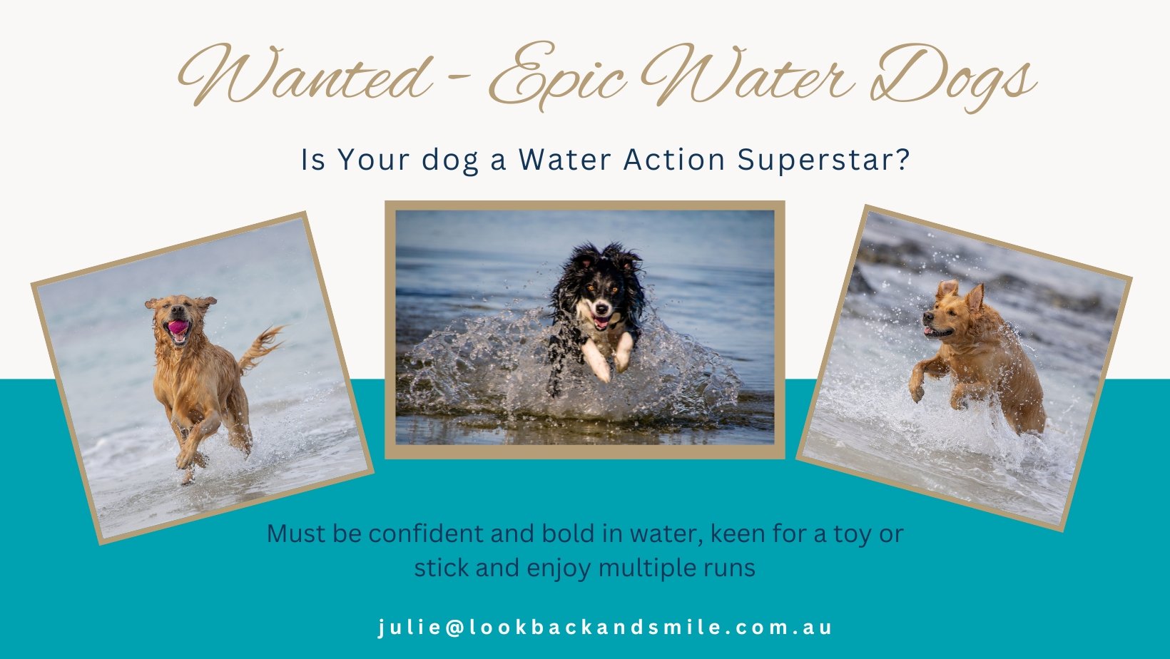 Water Action Superstars

I'm looking for water action superstars.  If this sounds like your dog, please email me to register you interest in one of these limited sessions.

Your dog must be super bold and confident in the water, and love to chase a t