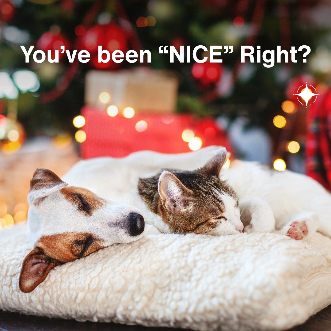 We know you've made the Nice list again this year!

Why torture your loved ones with trying to guess what to buy you for Christmas?

You love them right?  You want them to avoid the crowds of people at the shops and queuing in line for a checkout and
