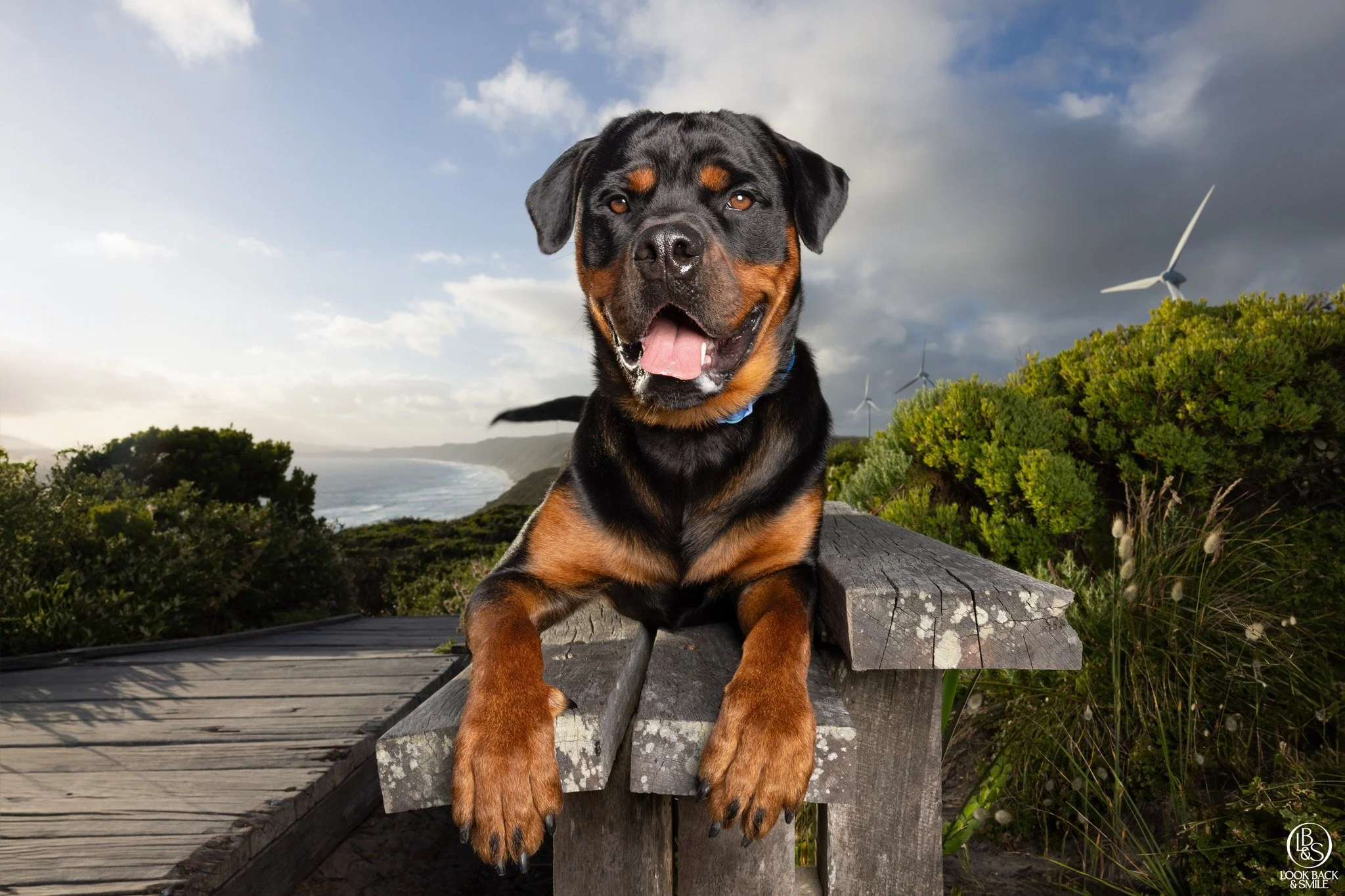 &lt;3  Hugo &lt;3

Well, it was about 5th time lucky doing this photo shoot for Hugo and waiting for a beautiful day was absolutely worth it!  This beautiful boy was the perfect angel on Saturday night. 

Hugo's family were gifted this shoot from Don