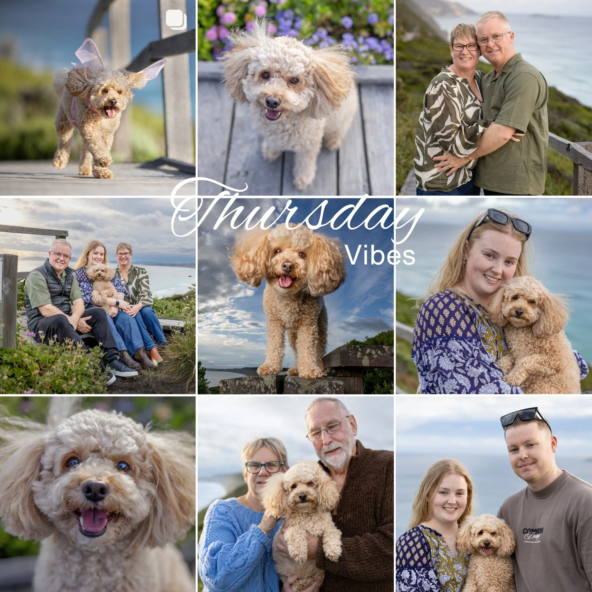 Thursday Vibes

Sharing this three generation family shoot. &lt;3