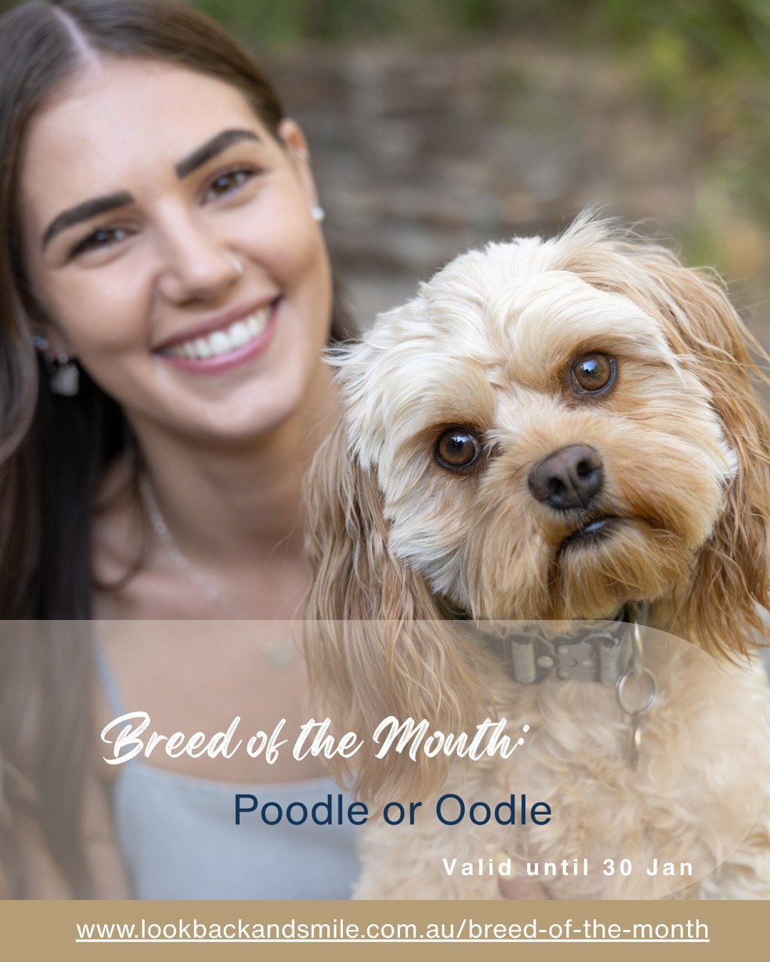 Breed of the Month - January 2026

We aren't doing a breed of the month for December, but we thought we might kick off the breed of the month applications for January early....

Soooo..... if you are lucky enough to be loved by a Poodle or an Oodle -