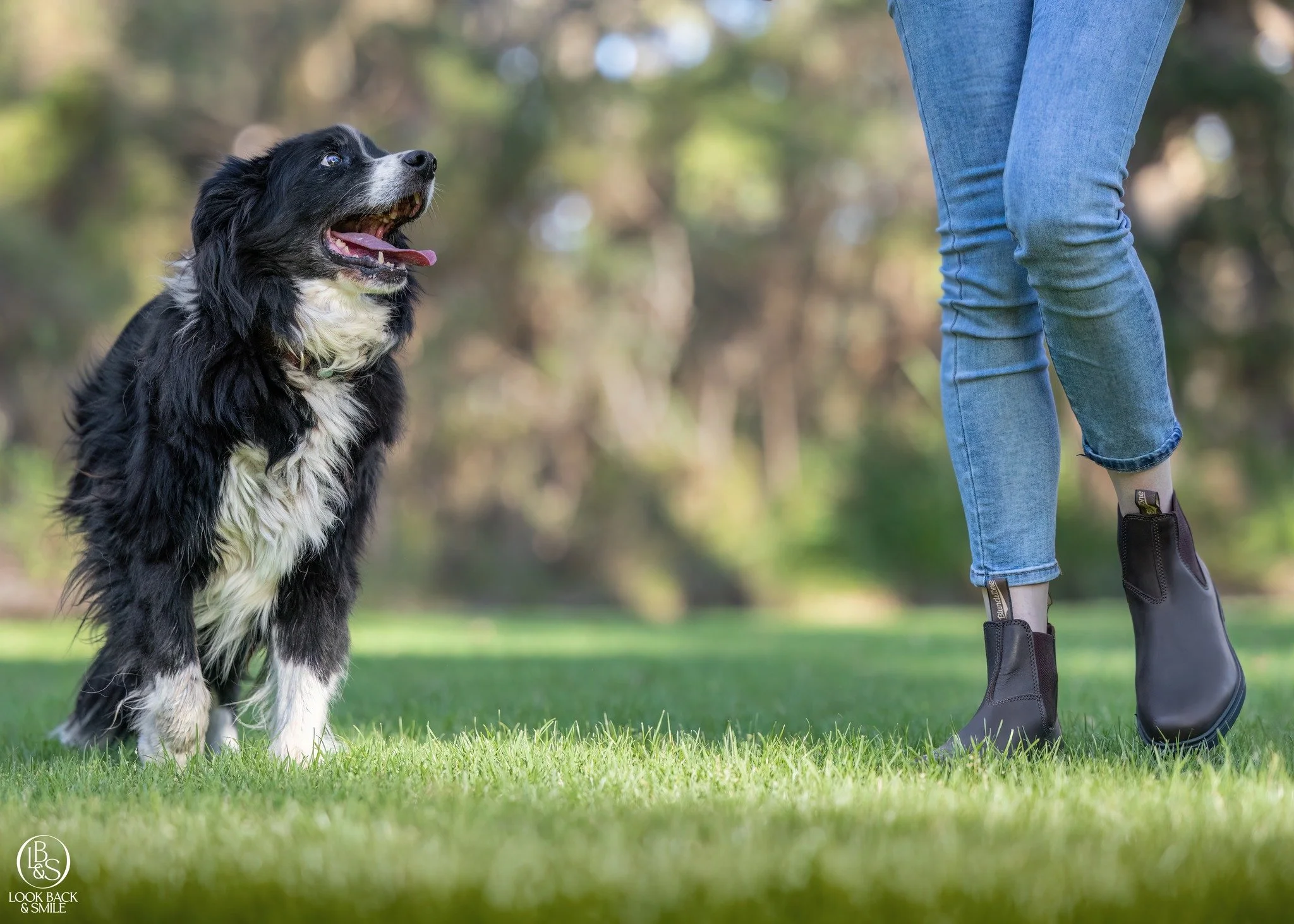We love the sugar faced oldies.... show us your much loved sugar faces!
