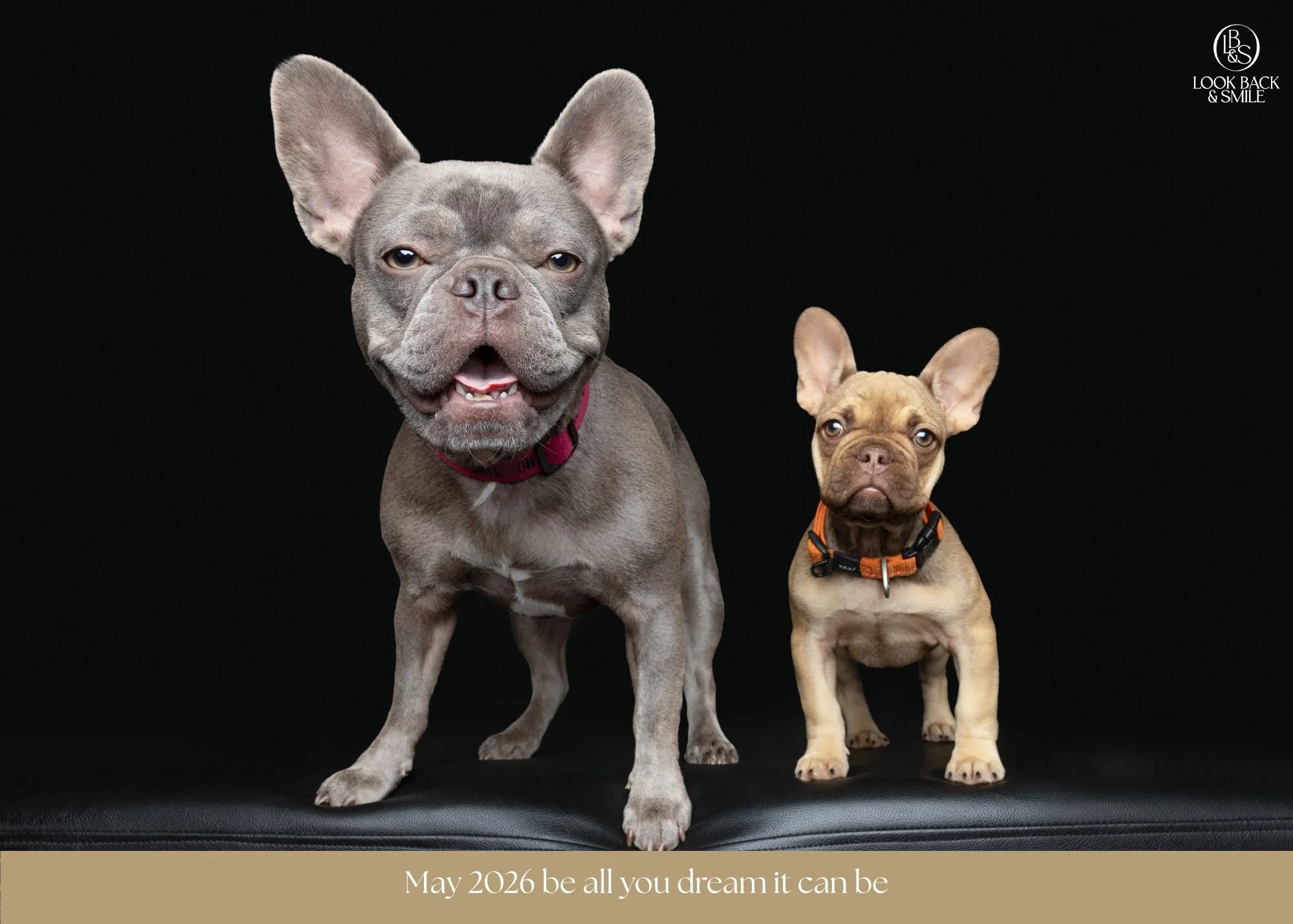 2025 Year of the Snake 

The year of the Snake, a year all about shedding habits, relationships and patterns that no longer fit you or your life. It's a year of reflection and closure.

Some of us had to let go of what no longer fit or served us.  Li