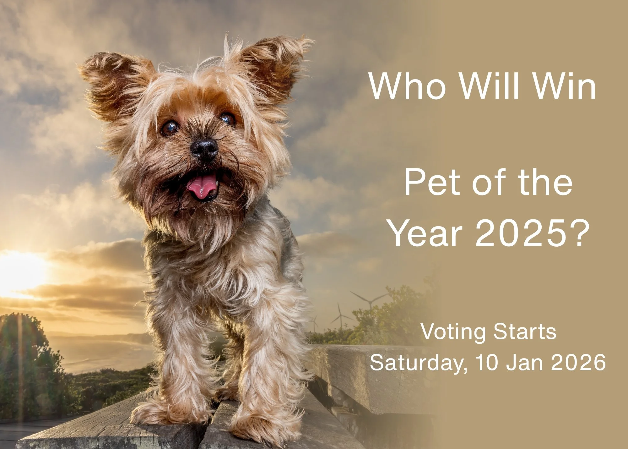 We can't wait for voting to begin on Saturday.

Up for grabs is a whopping $1000 voucher for the Pet of The Year Winner!

Voters also can go into the draw to win a $500 portrait experience for themselves, just by voting for their favourite! 

Who wil