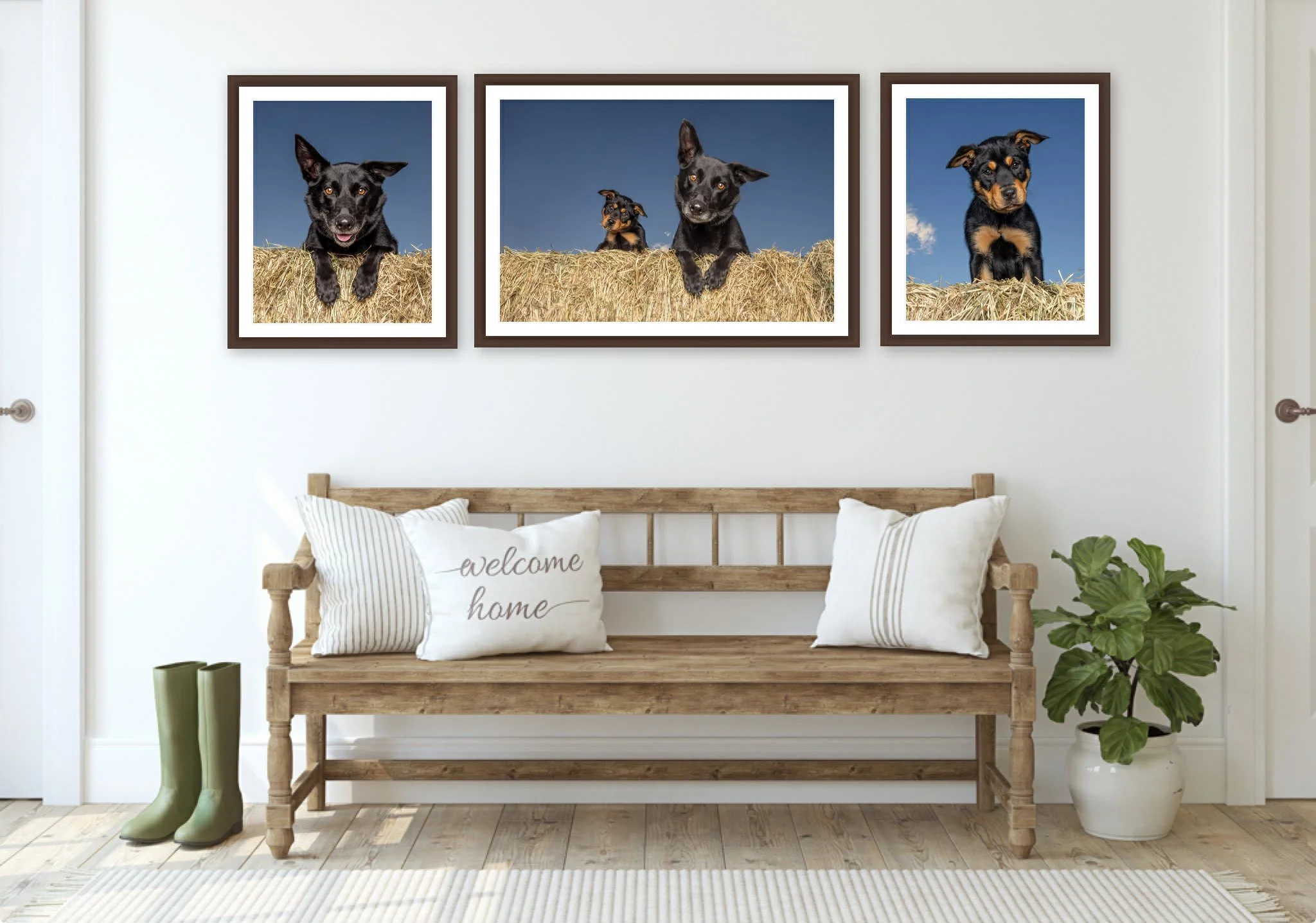 Luxury isn&rsquo;t about being flashy and my clients know I&rsquo;m not flashy.

To my clients, luxury means

Knowing their dog is in capable, compassionate hands.  Not worrying about behaviour or training levels.  Feeling supported before, during, a