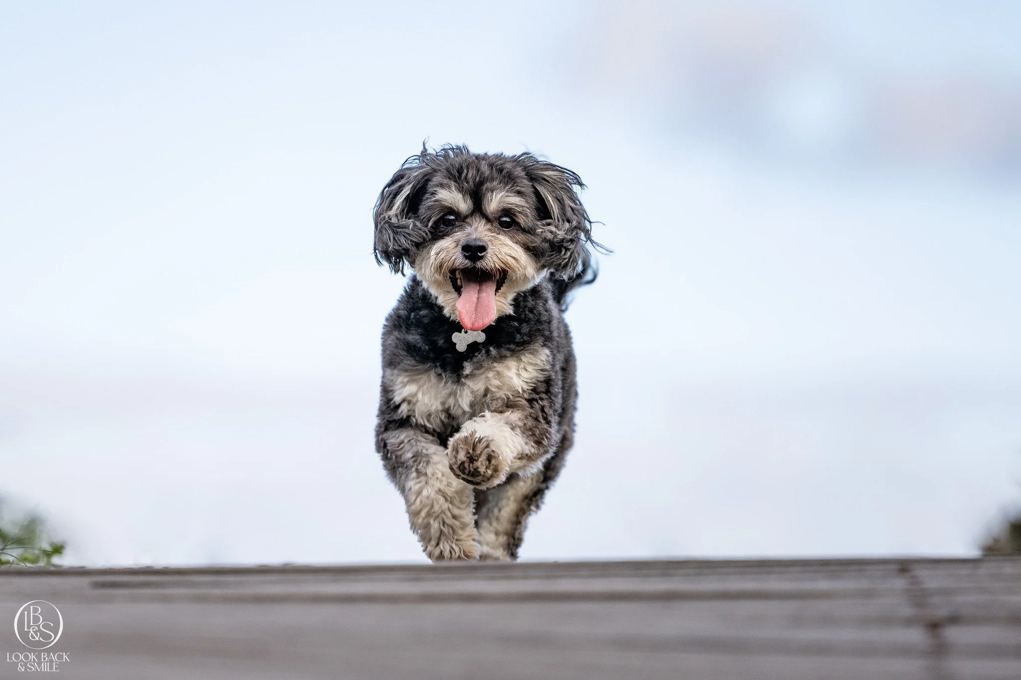 "Gee you Must have a good camera"

That sentence always burns a bit.  The thing is, a mobile phone can take a great picture, if the person operating the phone understands light, composition, and the best settings to use to achieve a beautif