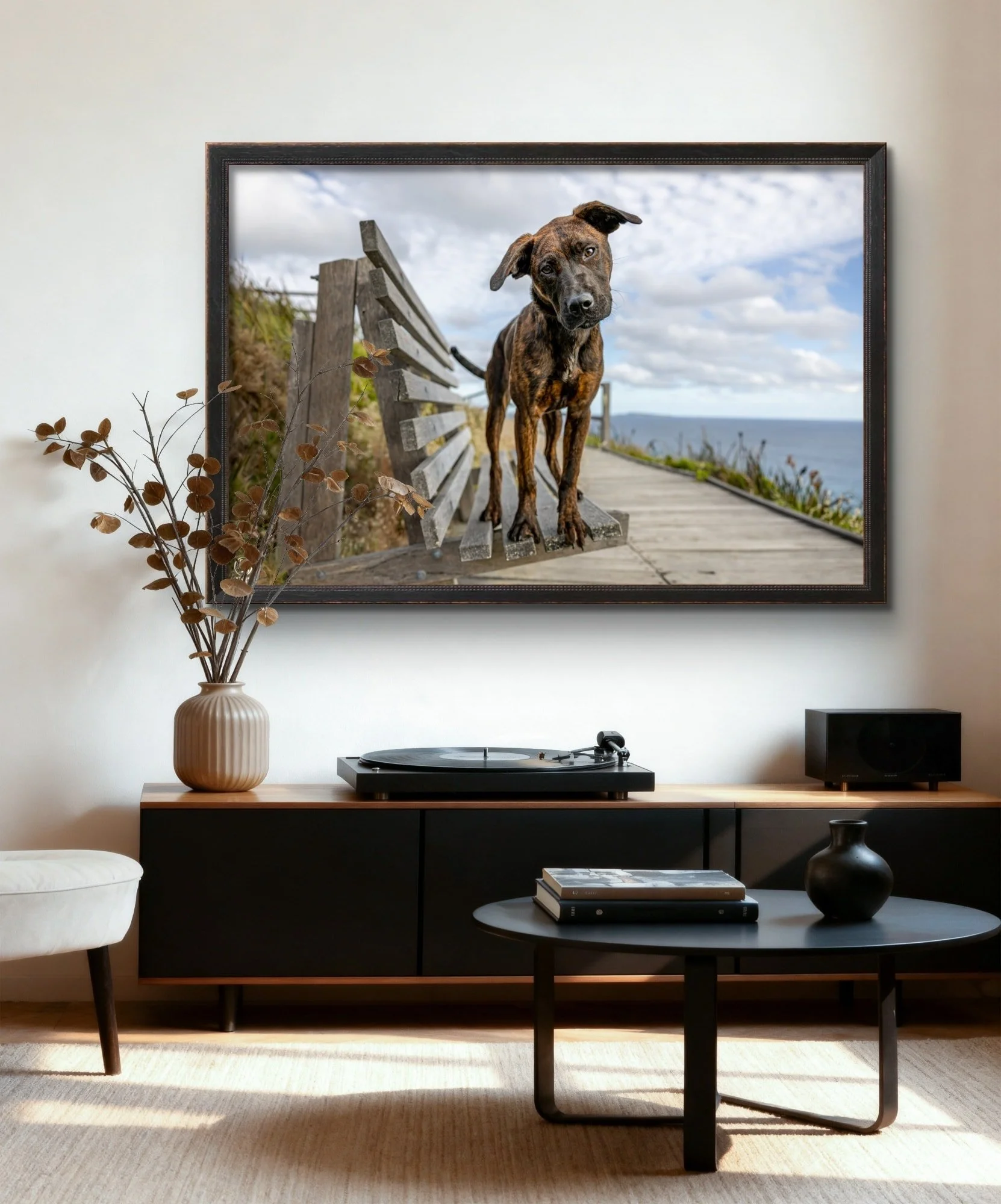 What kind of Wall Art would you like in your home? 

A) A portrait showing you dog's personality?

B) A portrait of your dog that also showcases our stunning area?

C) A Studio portrait-just dog, no distractions?

D) An action or playing image showca