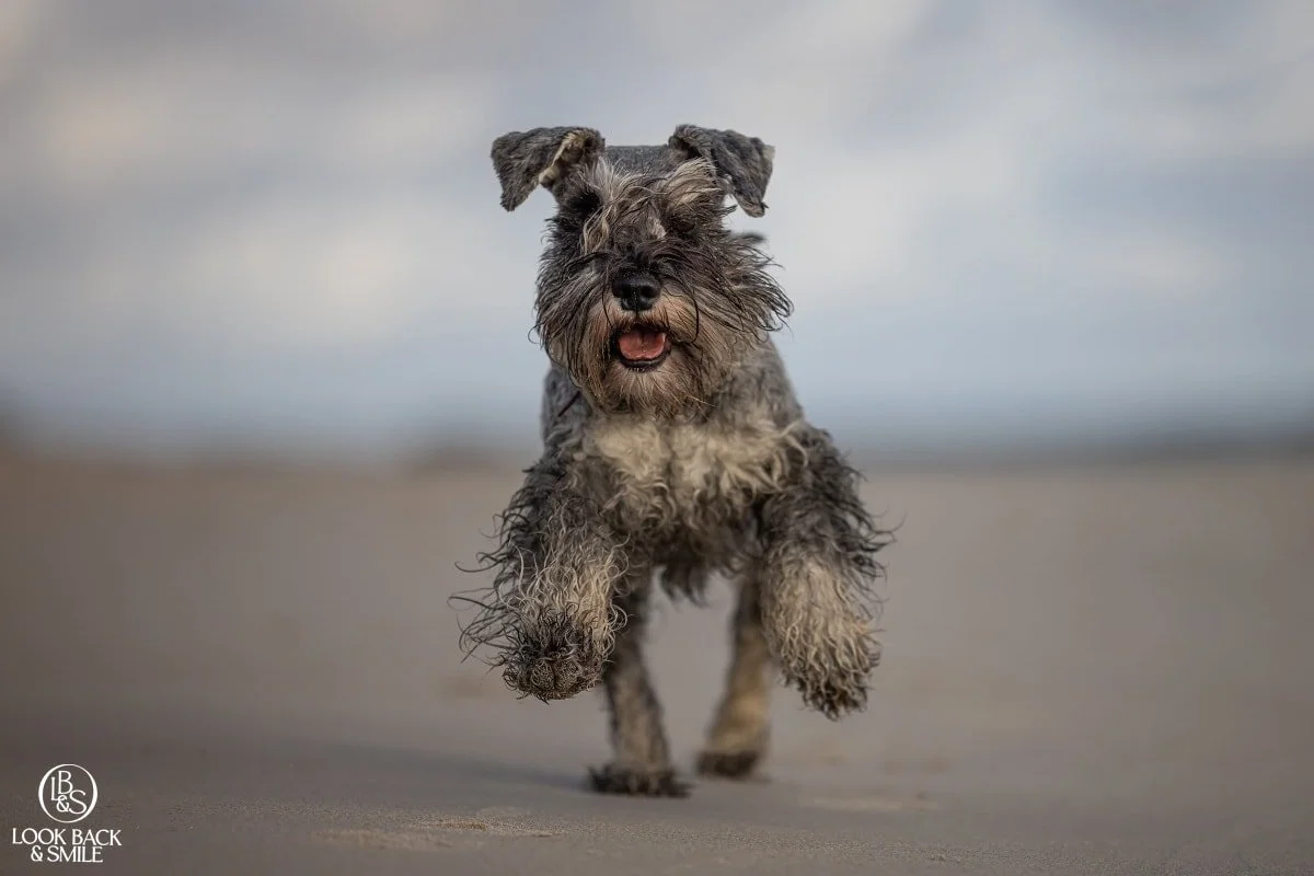 Happy 6th birthday our sweet boy. You are loved more than anything in the world. 😍🥰