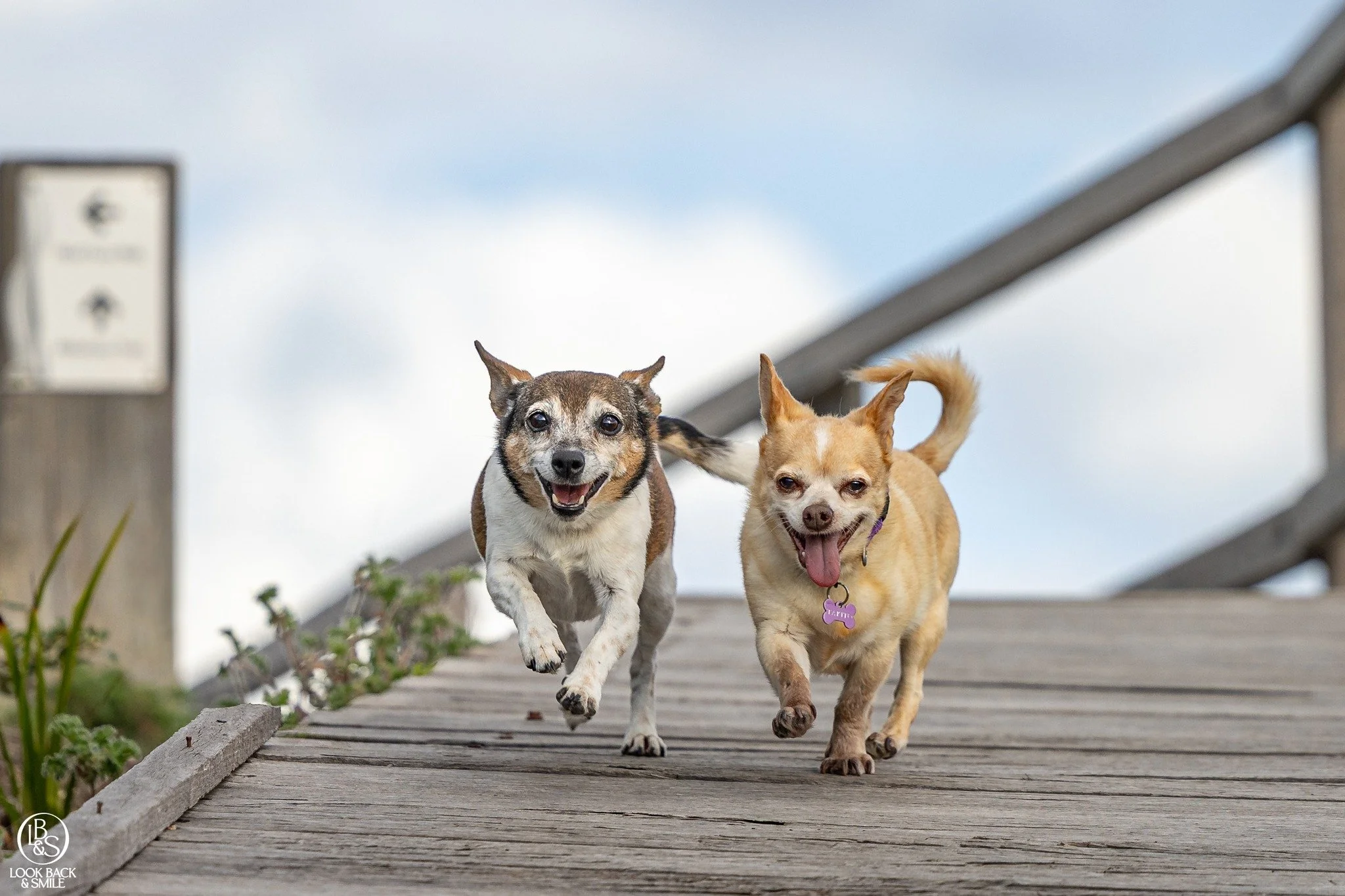 2025 Sessions!

If you had a session in 2025 and you left behind images you might want to purchase, now is the time to get them.

5pm Friday, 20 February, I will be uploading my files from 2025 to a cloud service. 

Any images you require after that 