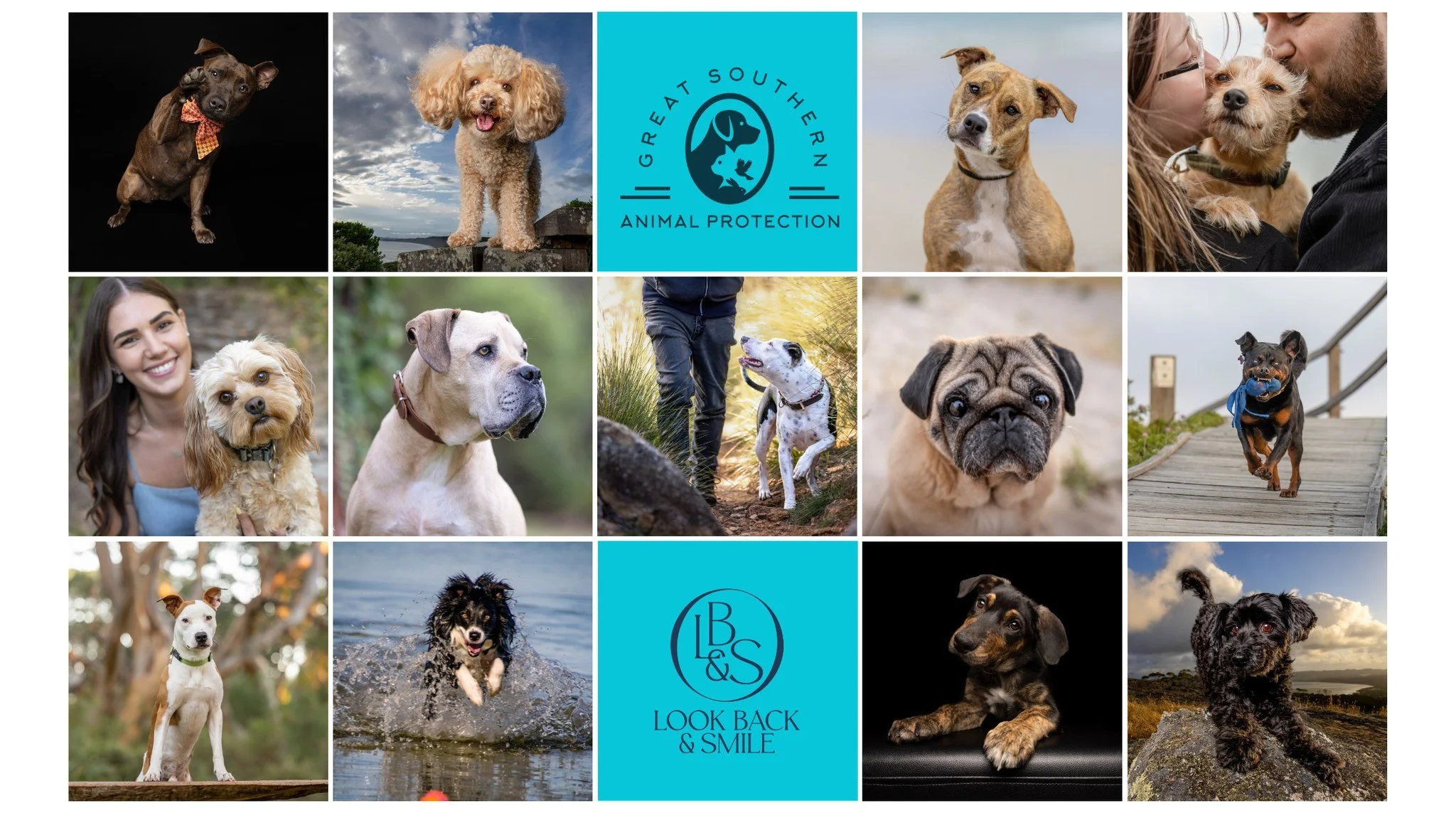 <3 C A L E N D A R  F U N D R A I S E R <3 

Well, it's that time again!

Great Southern Animal Protection have asked us if we will fundraise for them again this year. 

Although I had planned on taking a break this year, we have decided to cra