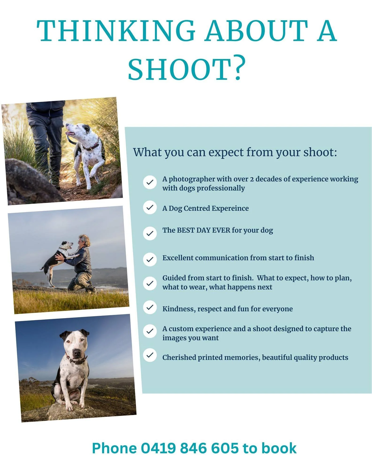 Thinking of a shoot?

You're in safe hands.  Your dog will LOVE every second! <3