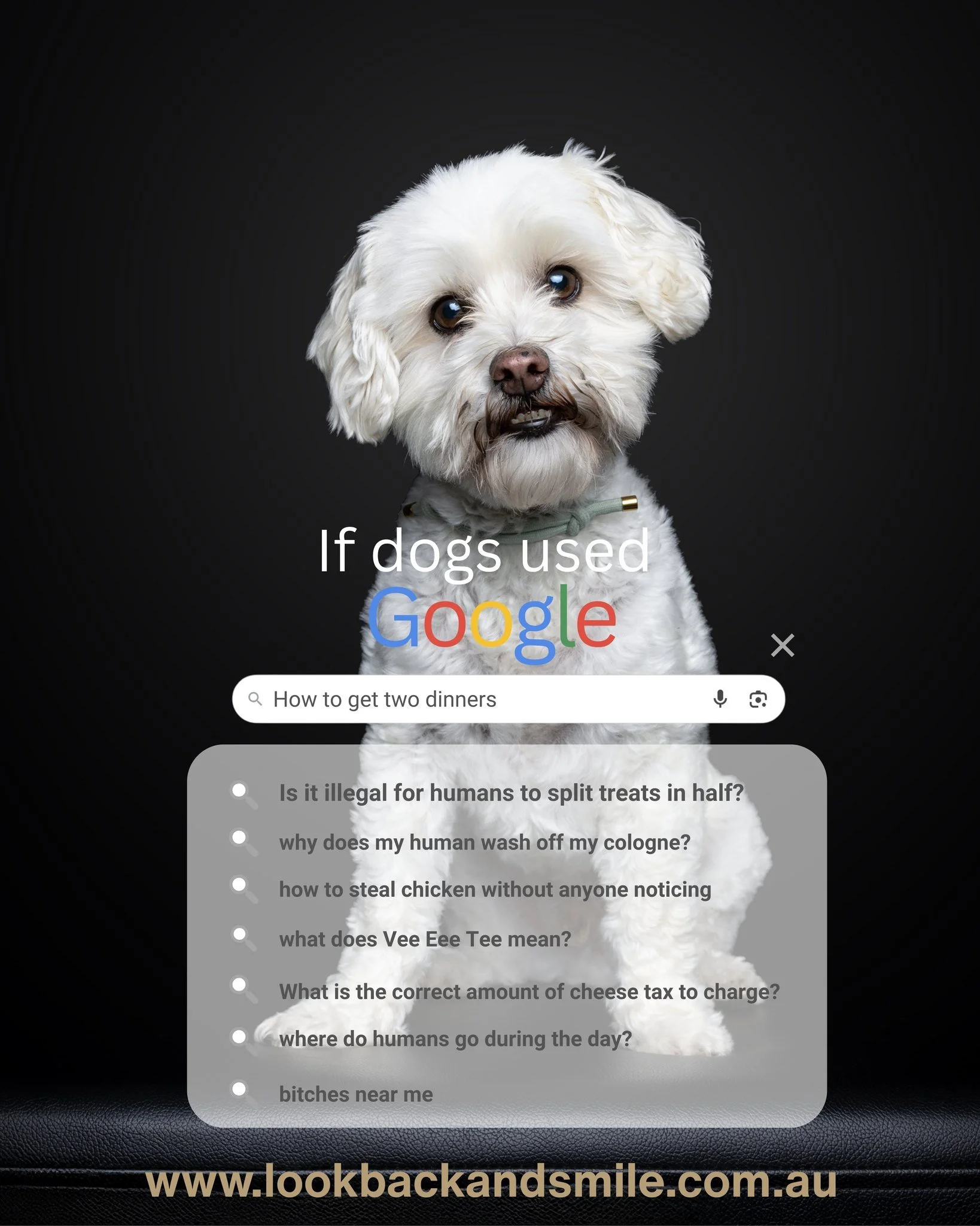 Welcome to our New Followers 👋

What would be in your dog's search history?