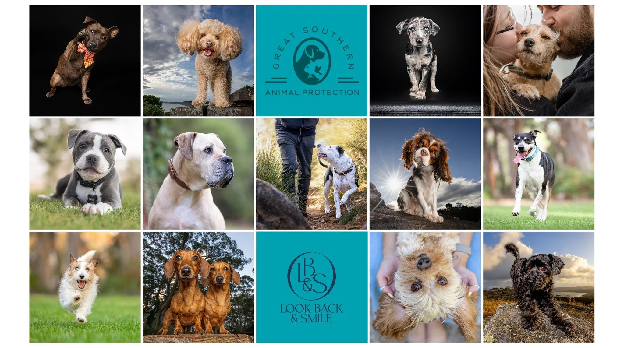 🤍 C A L E N D A R  F U N D R A I S E R 🤍

Well&hellip; it&rsquo;s that time again.

The beautiful team at Great Southern Animal Protection have asked if we&rsquo;ll fundraise for them again this year.

If I&rsquo;m honest, I had planned to take a l