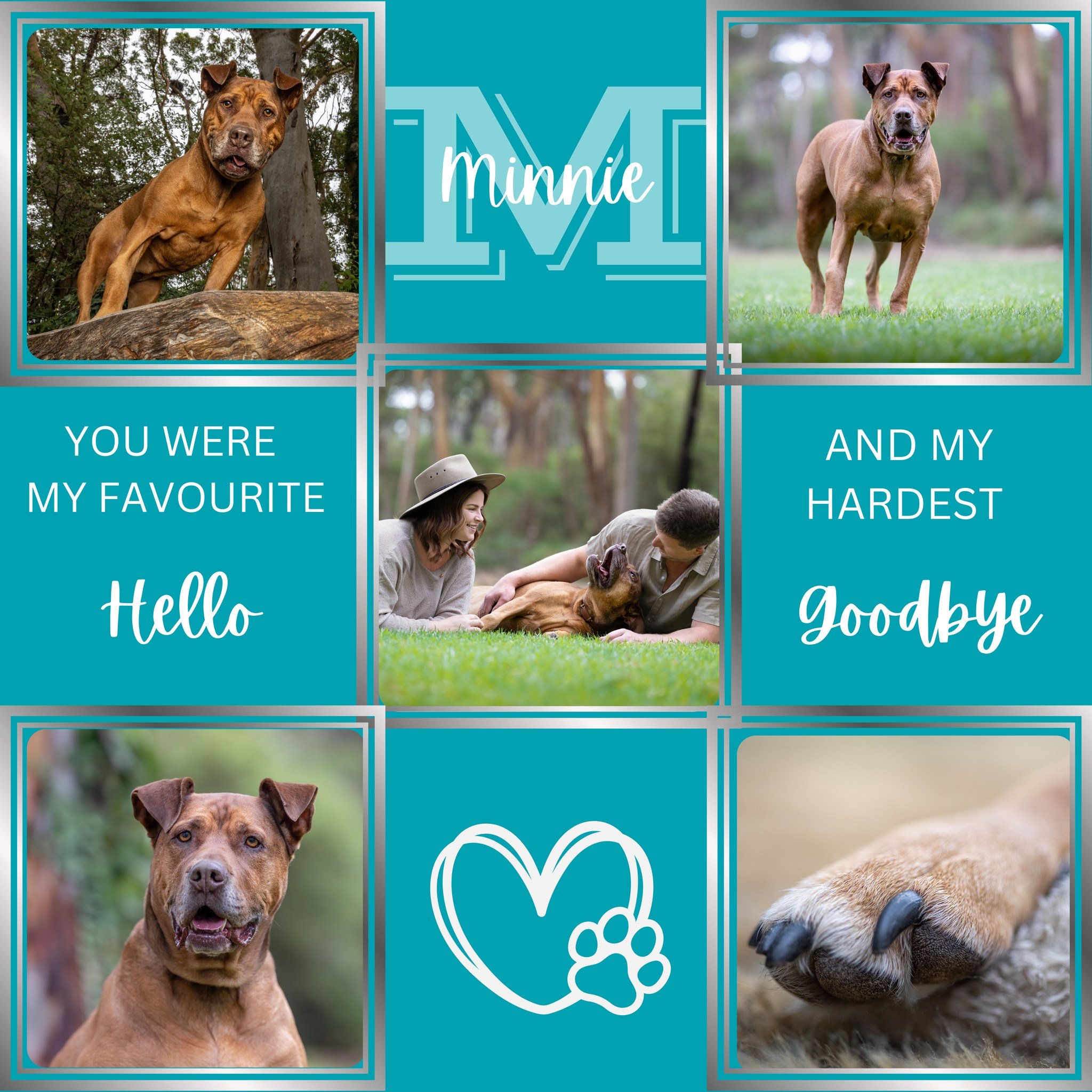 <3  Minnie <3

My heart is broken for Ashleah and Zak at this time.

An incredibly loved girl who truly landed on her paws with her family, bringing them so many happy moments over the years.

She was there through the hard times, and brought j