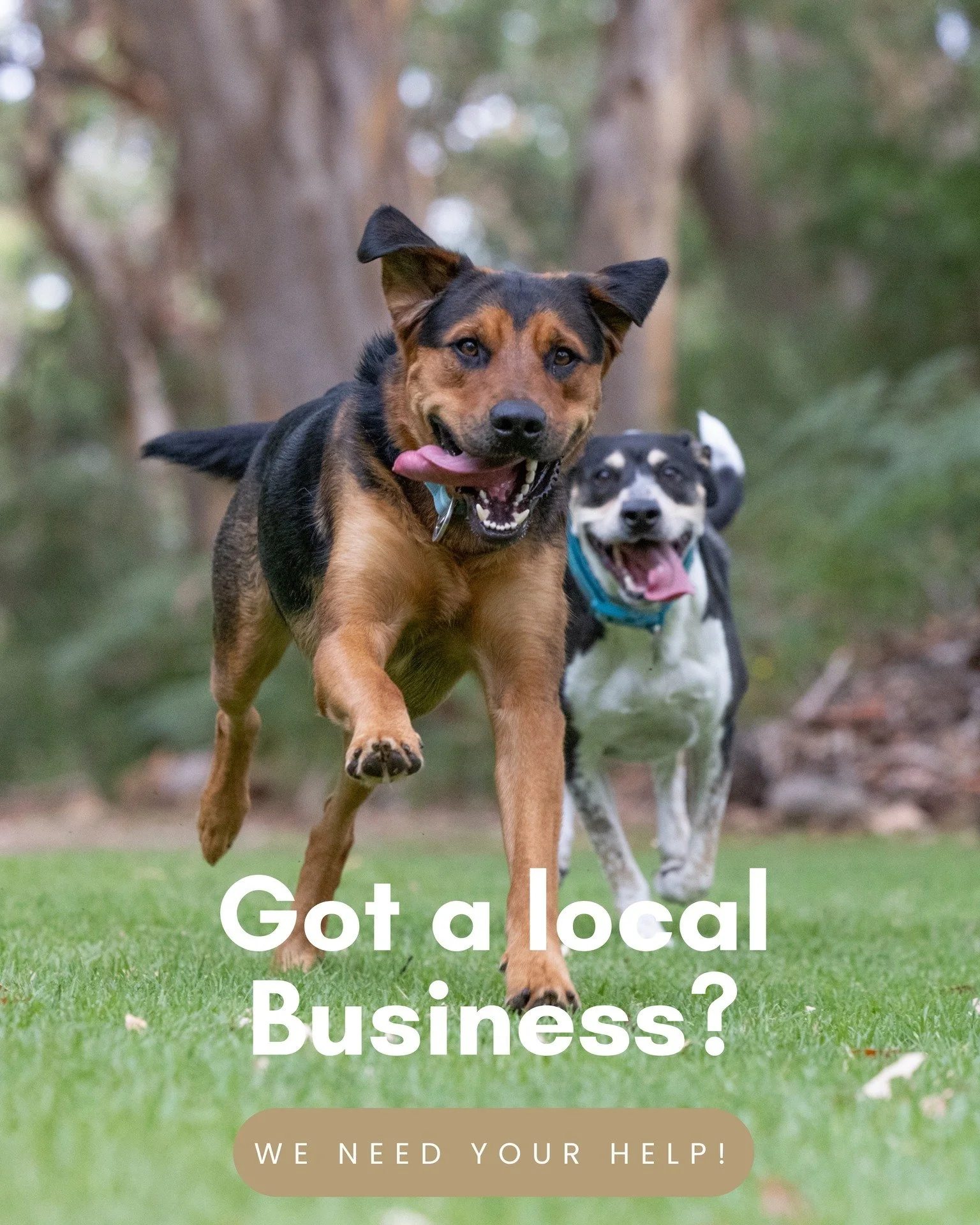 Your business could help save lives and gain new clients doing it.

We&rsquo;re seeking sponsors for our annual Calendar Fundraiser supporting Great Southern Animal Protection.

Last year alone, over $15,000 was raised to help animals in need across 