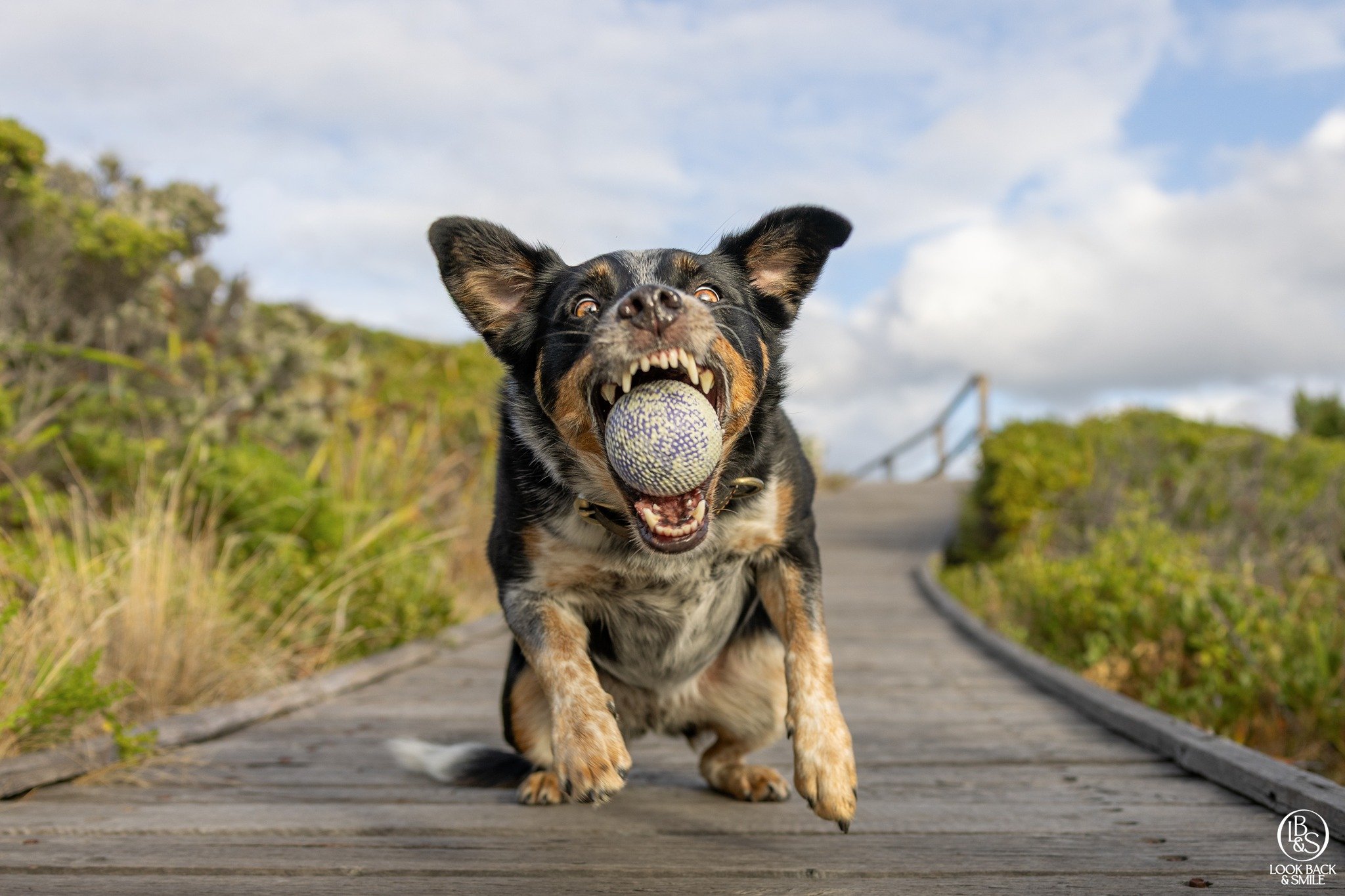 <3  Lola <3

This beautiful girl was high energy, sassy and confident throughout her shoot and she was also the goodest girl ever.  As a result, we got MANY images in her collection for her Mum to choose from. 

This is what Laura writes about 
