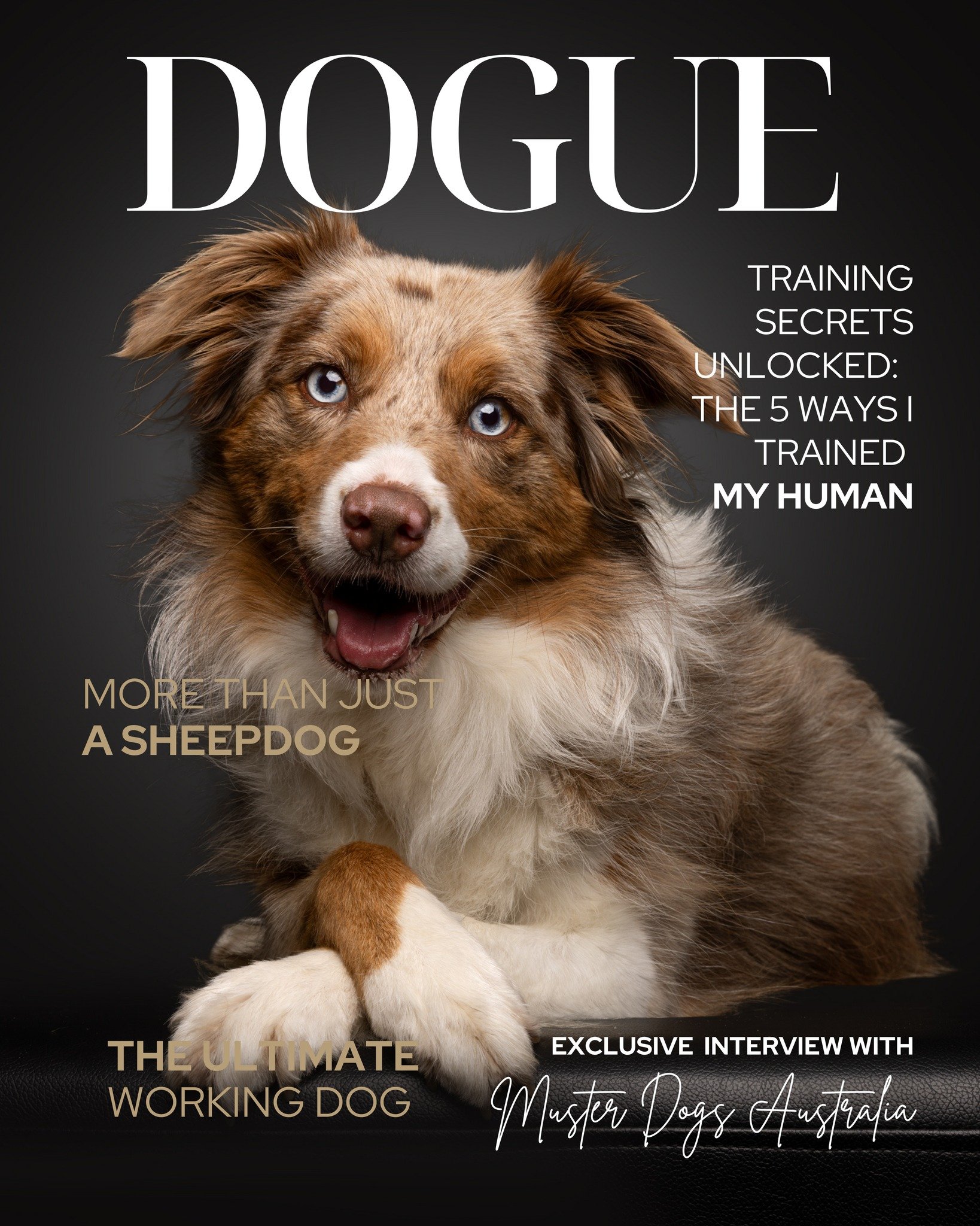 Only A Few Days Left! 

Breed of the Month &ndash; Border Collie <3 

If you know, you know.

The intensity. 
The intelligence. 
The watchful eye. 
The way they always seem to know what you're thinking.

March is for the dogs who don&rsquo;t just 