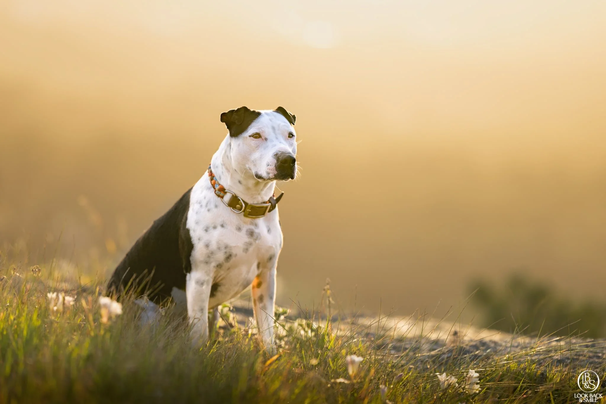 What's the Rules with a loaded poop bag in your pocket? 🤷&zwj;♀️

Can you just get away with it if you've have a small dog? 

Can you talk to people in the street with the "business end" of poop bag hanging out your pocket? (That's what I'