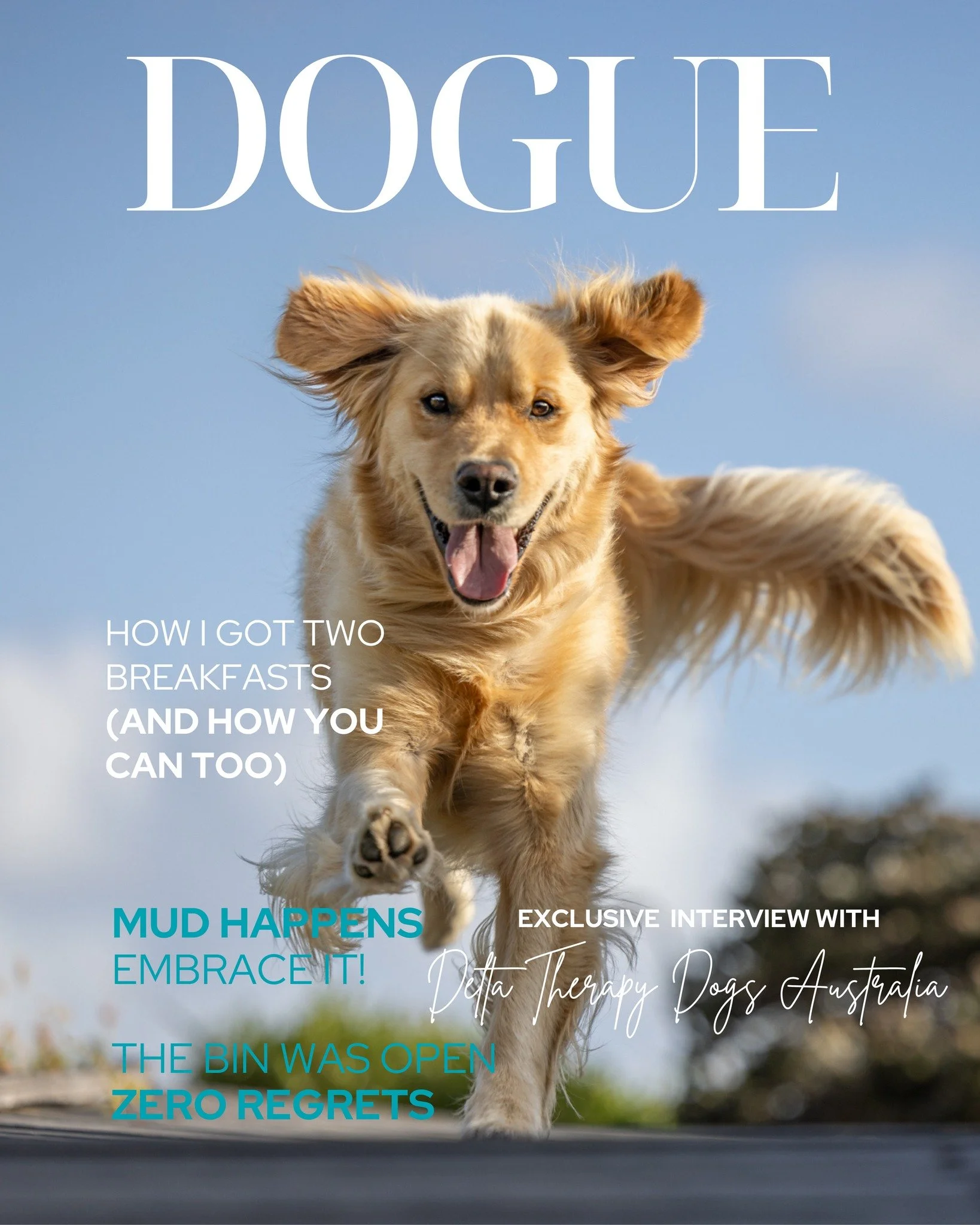 💛GOLDEN RETRIEVER &ndash; BREED OF THE MONTH 💛

Got a Golden who thinks food is life and people were invented only for them? This one&rsquo;s for you.

This month, I&rsquo;m celebrating these smiling baybees with an exclusive portrait experience.

