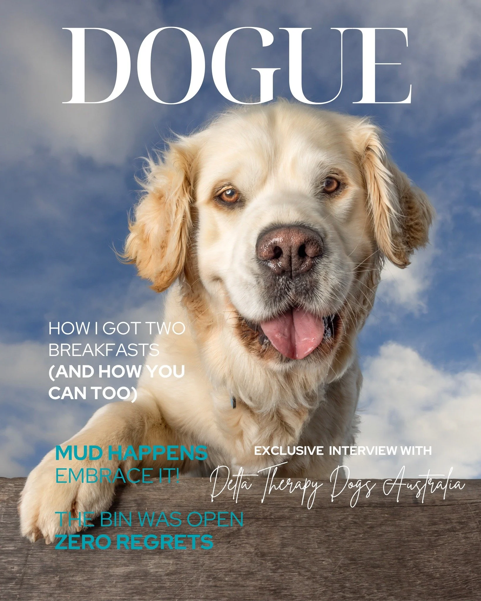 💛GOLDEN RETRIEVER &ndash; BREED OF THE MONTH 💛

Got a Golden who thinks food is life and people were invented only for them? This one&rsquo;s for you.

This month, I&rsquo;m celebrating these smiling baybees with an exclusive portrait experience.

