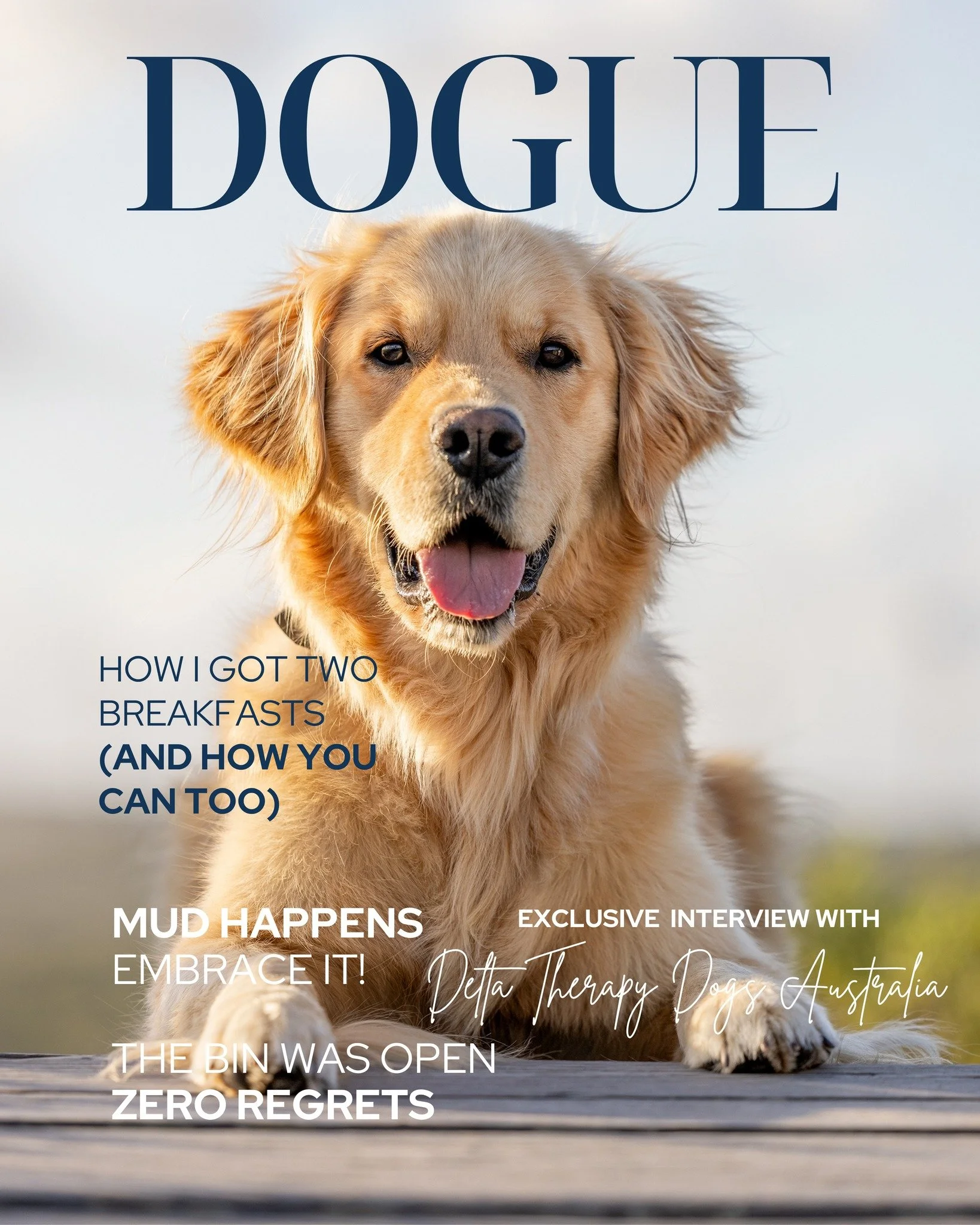 💛GOLDEN RETRIEVER &ndash; BREED OF THE MONTH 💛

Got a Golden who thinks food is life and people were invented only for them? This one&rsquo;s for you.

This month, I&rsquo;m celebrating these smiling baybees with an exclusive portrait experience.

