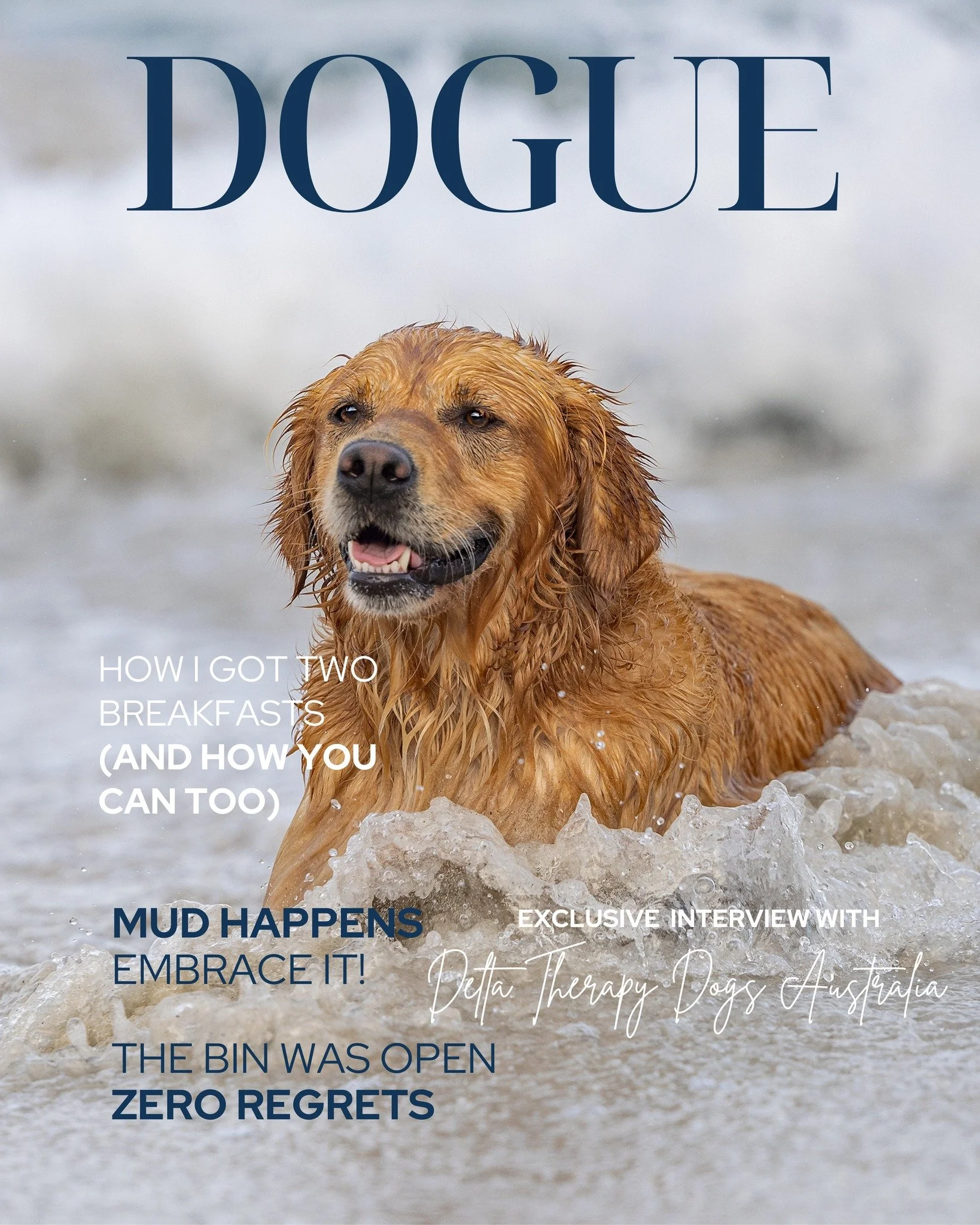 💛GOLDEN RETRIEVER &ndash; BREED OF THE MONTH 💛

Got a Golden who thinks food is life and people were invented only for them? This one&rsquo;s for you.

This month, I&rsquo;m celebrating these smiling baybees with an exclusive portrait experience.

