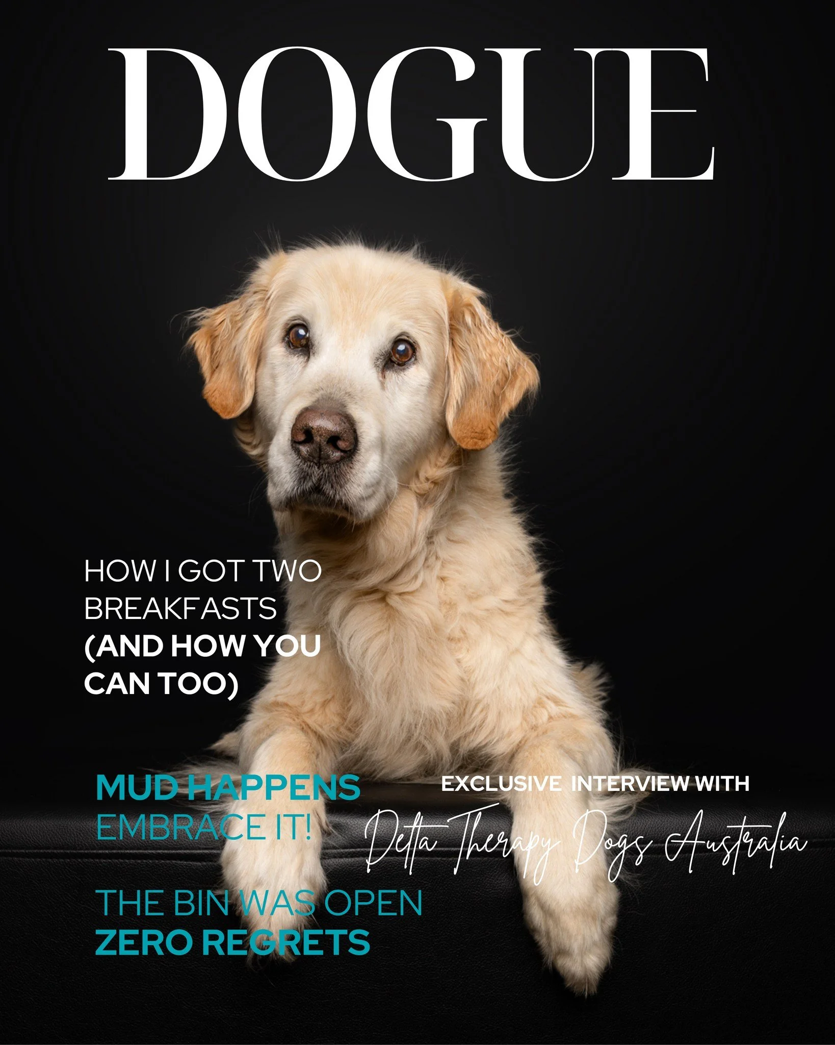 💛GOLDEN RETRIEVER &ndash; BREED OF THE MONTH 💛

Got a Golden who thinks food is life and people were invented only for them? This one&rsquo;s for you.

This month, I&rsquo;m celebrating these smiling baybees with an exclusive portrait experience.

