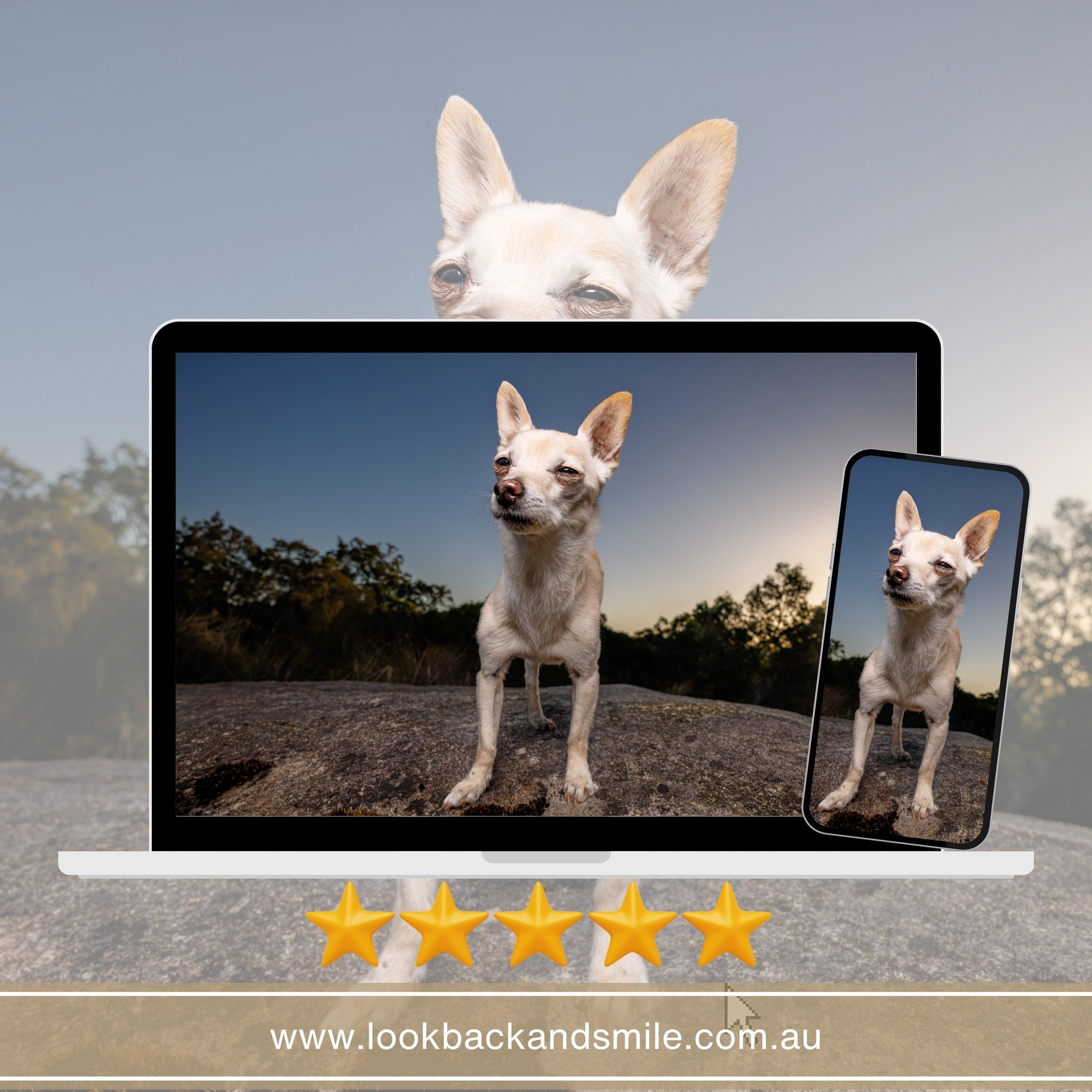 Rosie of Willyung or Snoop Dogg of Los Angeles?

We love this little chihuahua.  She has recently had her second shoot.  This shoot was supposed to be all about her sister, but she couldn't help but be a little star AND a photo bomber every opportuni