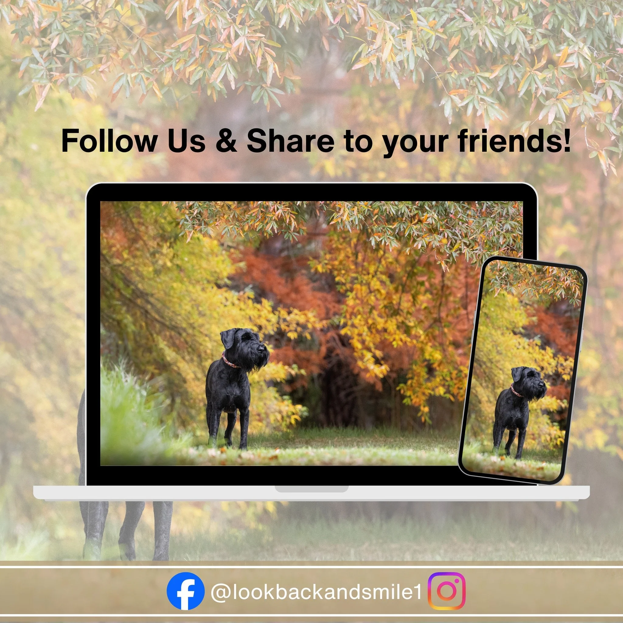 WARNING: Following this page may result in an unhealthy obsession with dog photos. 🐾

WE NEED YOUR HELP to grow our Facebook and Instagram pages. ❤️

If you love dogs and you know people who genuinely love their dogs, could you please:

🐶  Invite y