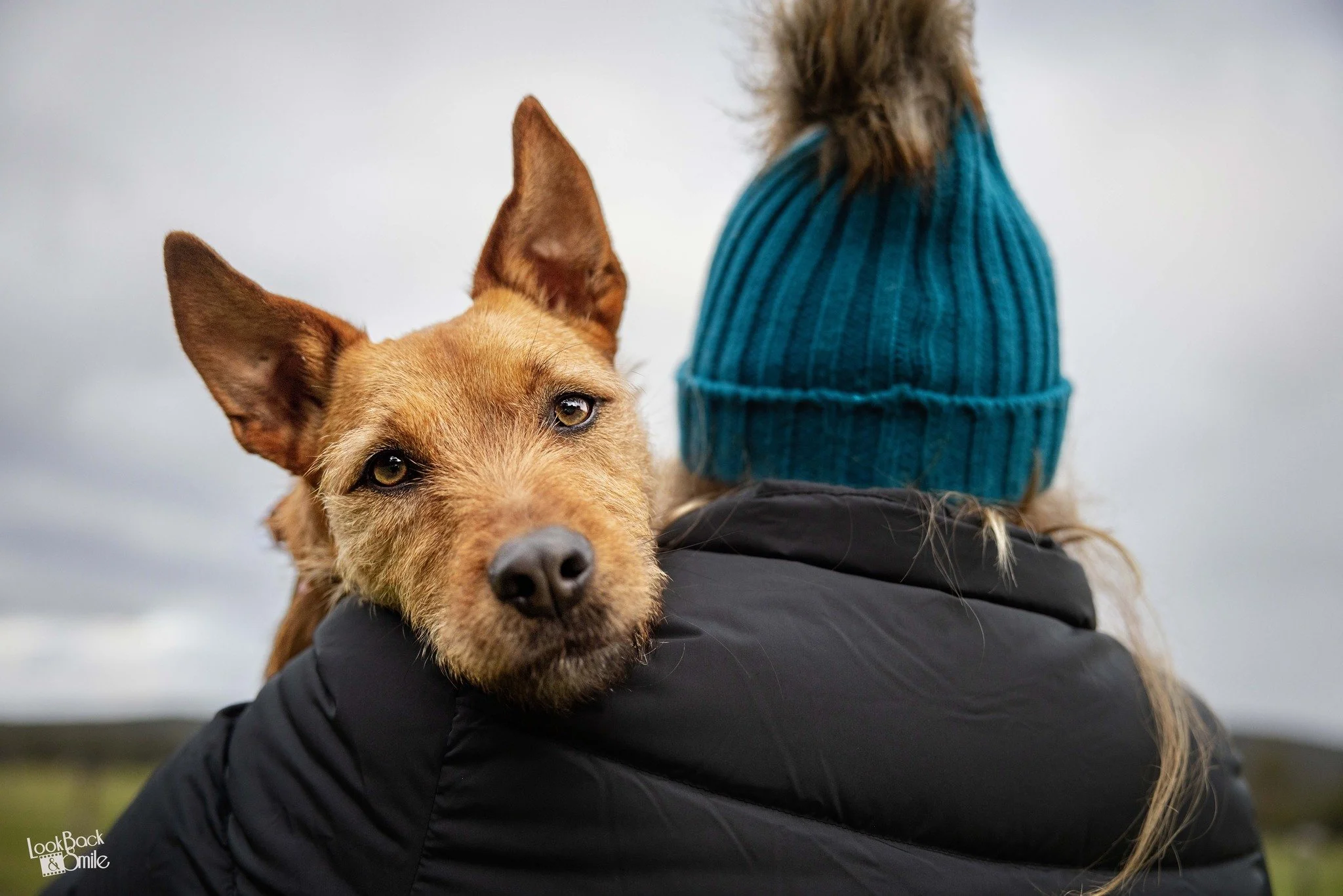 I want you to take a moment to photograph your warm, snuggly dog right now and share with us in the comments. <3  No cheating. <3