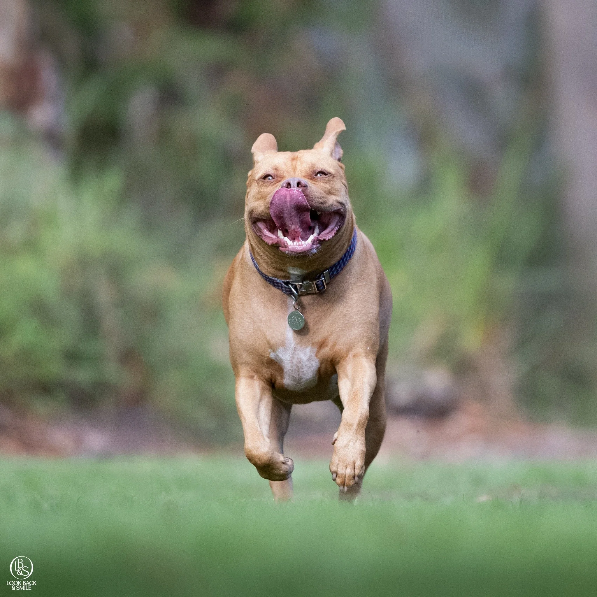 <3  Tongue out Tuesday <3 

We love a good Tongue out Tuesday.  We have hundreds of the most hillarious tongue out photos from our sessions. 

Do you have a good Tongue out Tuesday you'd like to share?