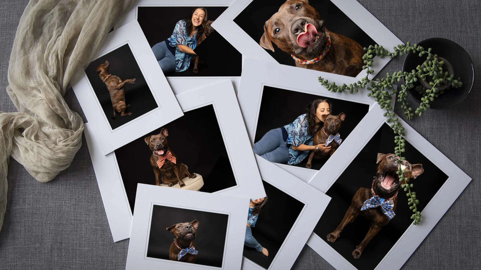 Fine Art Matted Prints <3

How beautiful are these?

There is something incredibly special about holding your memories in your hands instead of leaving them hidden away on a phone or hard drive.

Our luxurious Fine Art Matted Prints are designed t