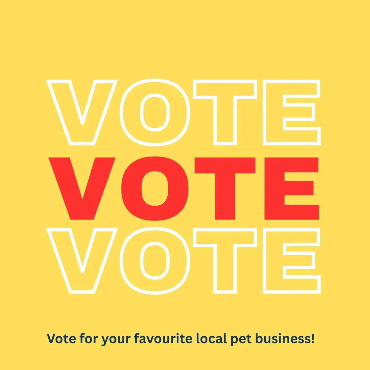 Who will be crowned the Great Southern's Favourite Pet Business? 

Over the next 7 days, we're inviting you to vote for your favourite local pet business and help them take home an amazing prize.

The winning business will receive a Commercial Photog