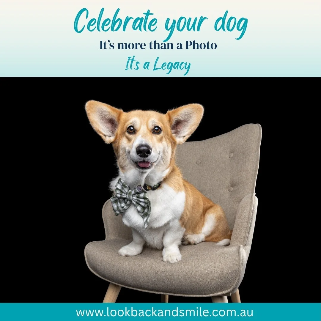 The things your dog will never know about you

They will never know how helpless you feel when they are sick or injured, and how desperately you wish you could magically make them better.

They will never know that sometimes you worry about whether y