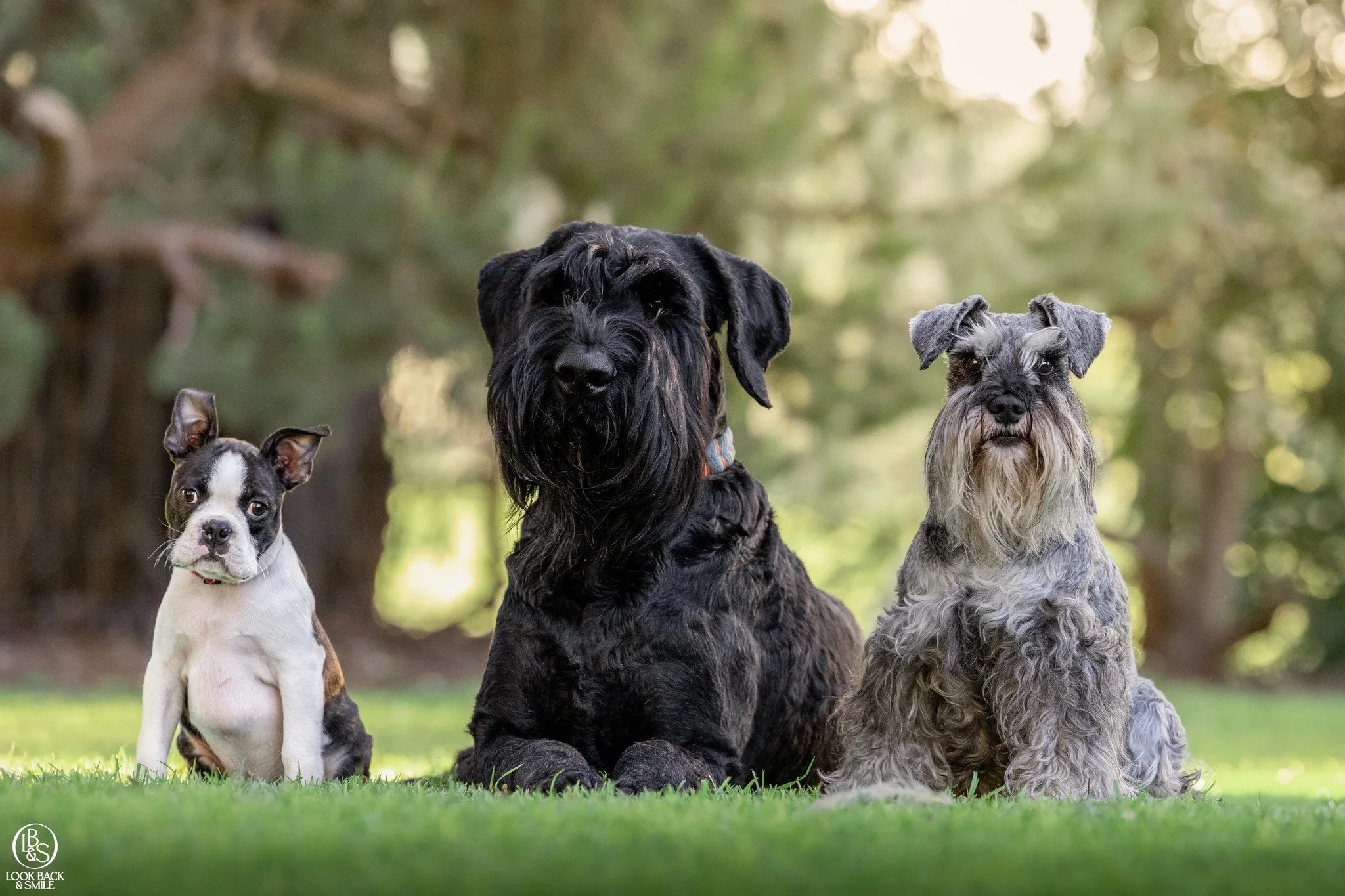 Happy International Dog Day

Show us a pic of your babies to celebrate. <3