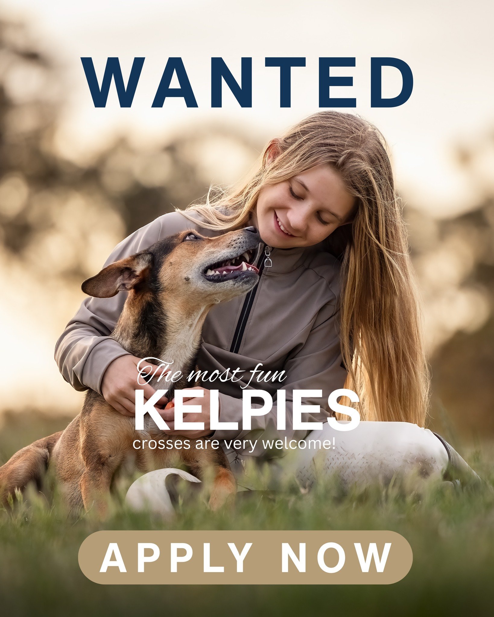 September's  Breed  of the Month &ndash; Kelpie or Kelpie x

Got a dog on crack?  We want to hear from you!

Kelpies are the most loyal, most extreme, intelligent and wonderful dogs. 

If you've been putting off having a shoot with your Kelpie or Kel
