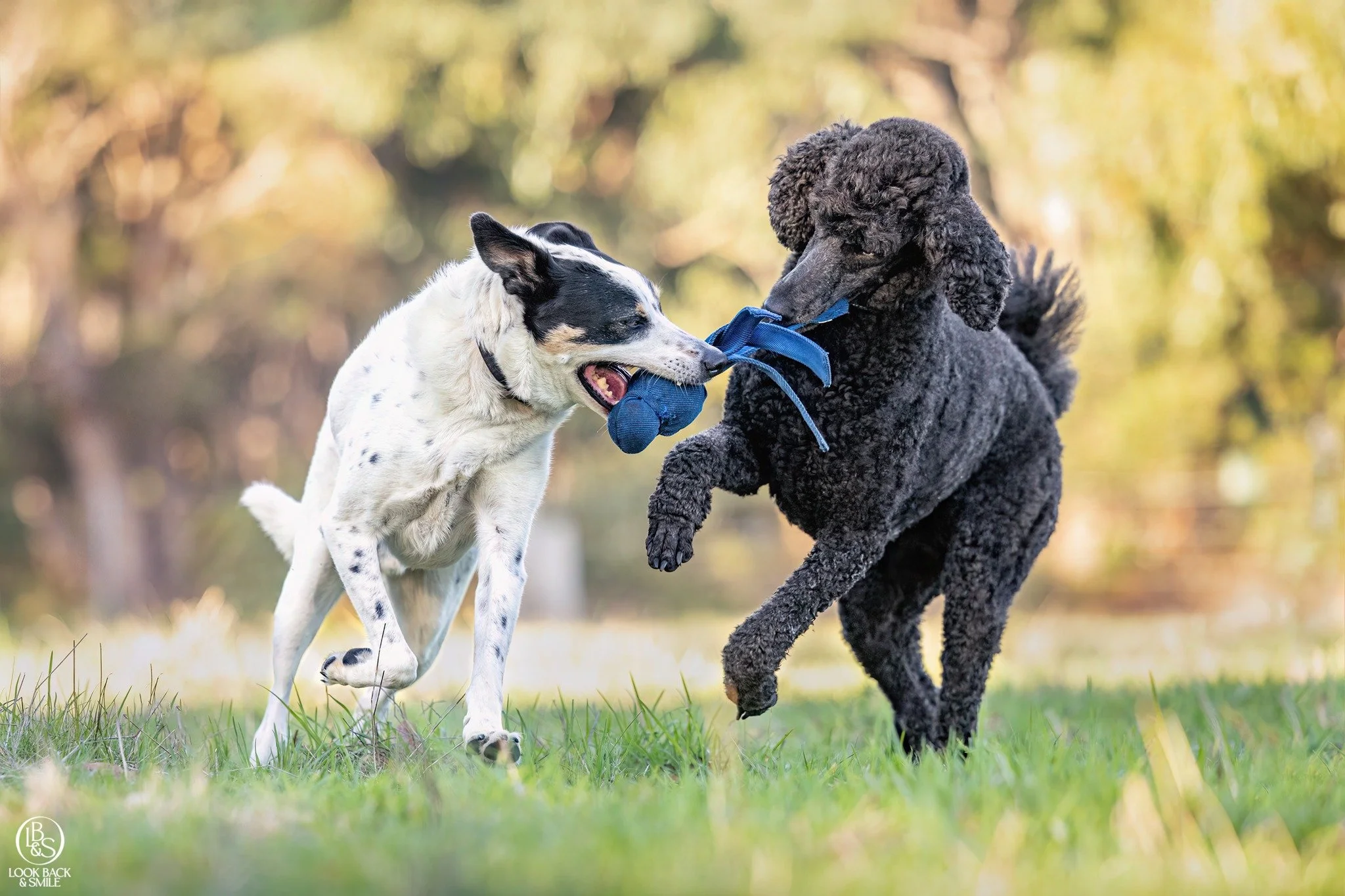 It's the Weekend!  What fun do you have planned?