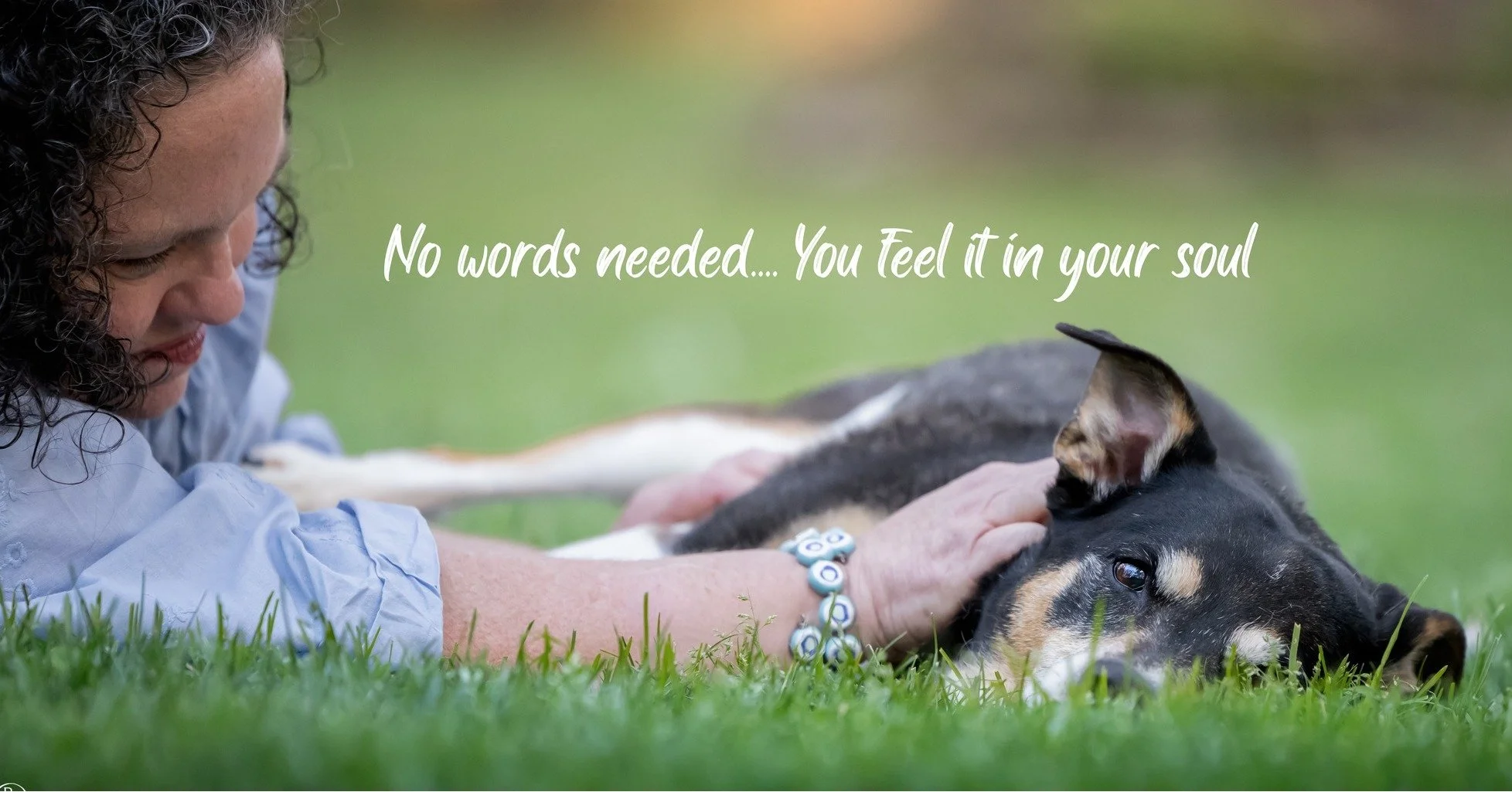 Dog Mums Connection Project

It's images like these that make my heart sing. 

What I love most about this image is Stephanie said May is always kicking her or reaching for her with her leg in bed or when laying down like this. 

I love that this ima