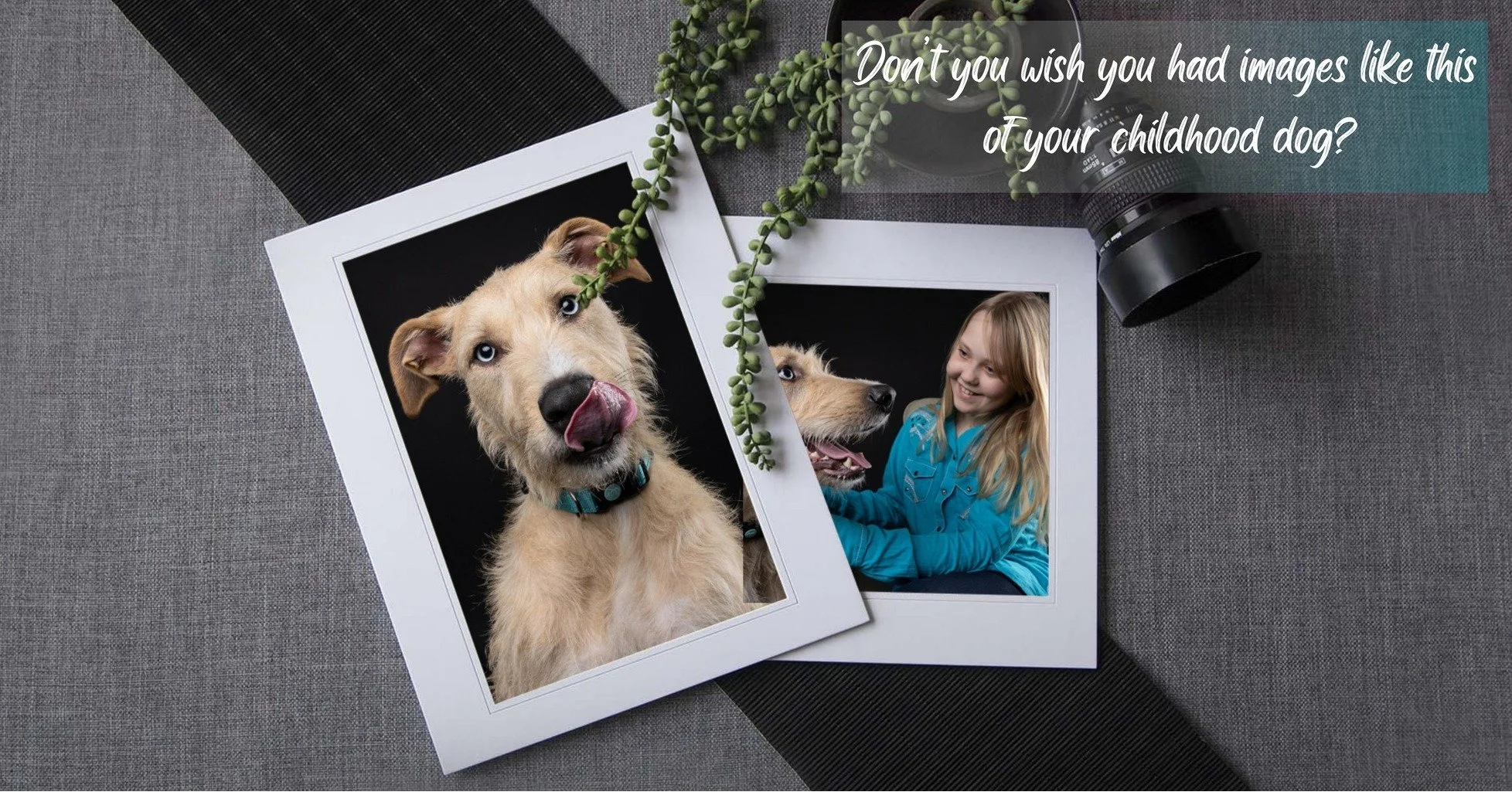 Your child&rsquo;s best fur friend. ❤️

My grandparents on both sides certainly weren&rsquo;t flush with money. But at some point in my parents&rsquo; young lives, they invested in professional photographs. I&rsquo;m so grateful they did, because tho
