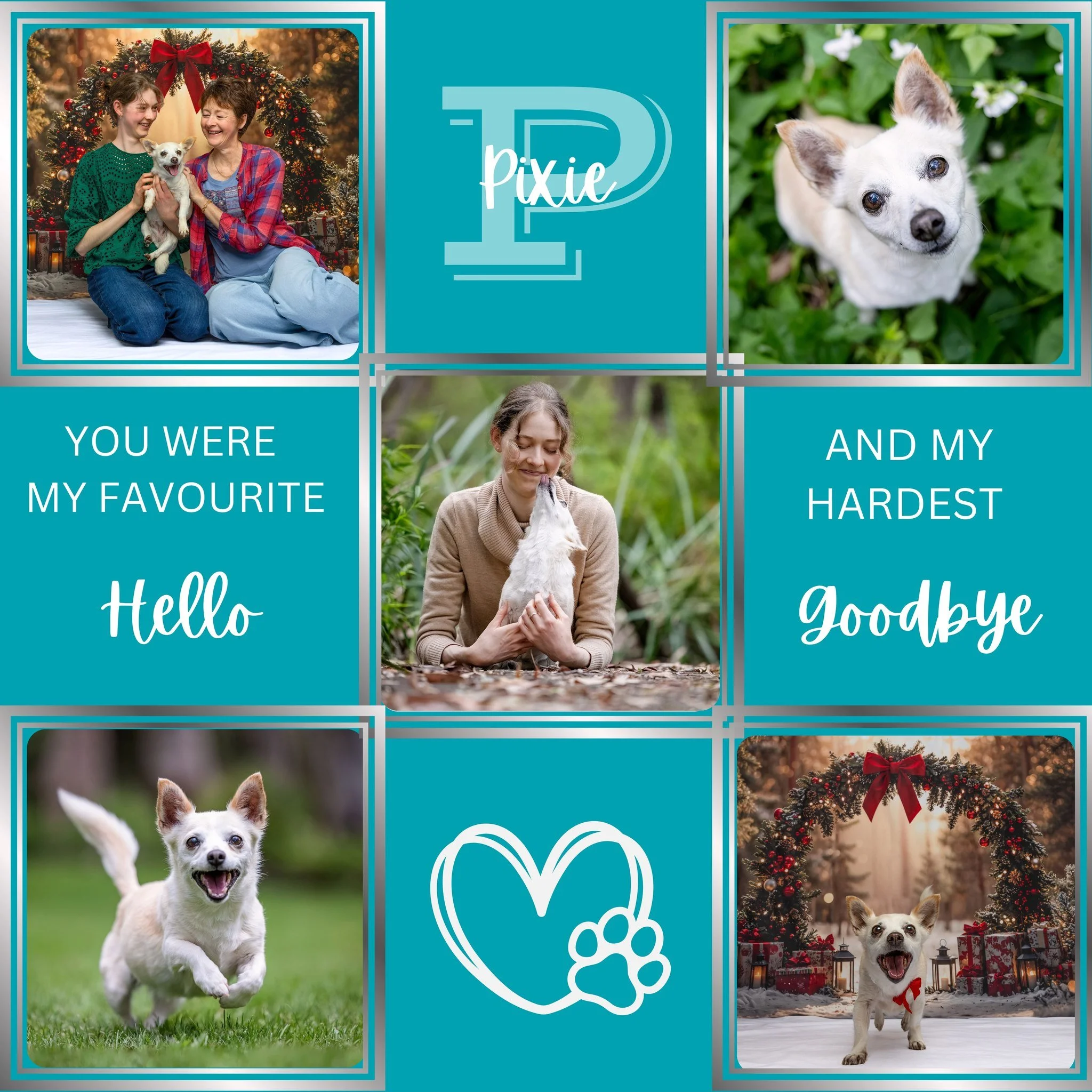<3  Pixie <3

Thinking of Frances in her grief at the loss of her beloved little Pixie. 

A dog who taught Frances so much and who loved and was loved beyond measure. 

My thoughts are with you at this time Frances.  Losing your first dog is th