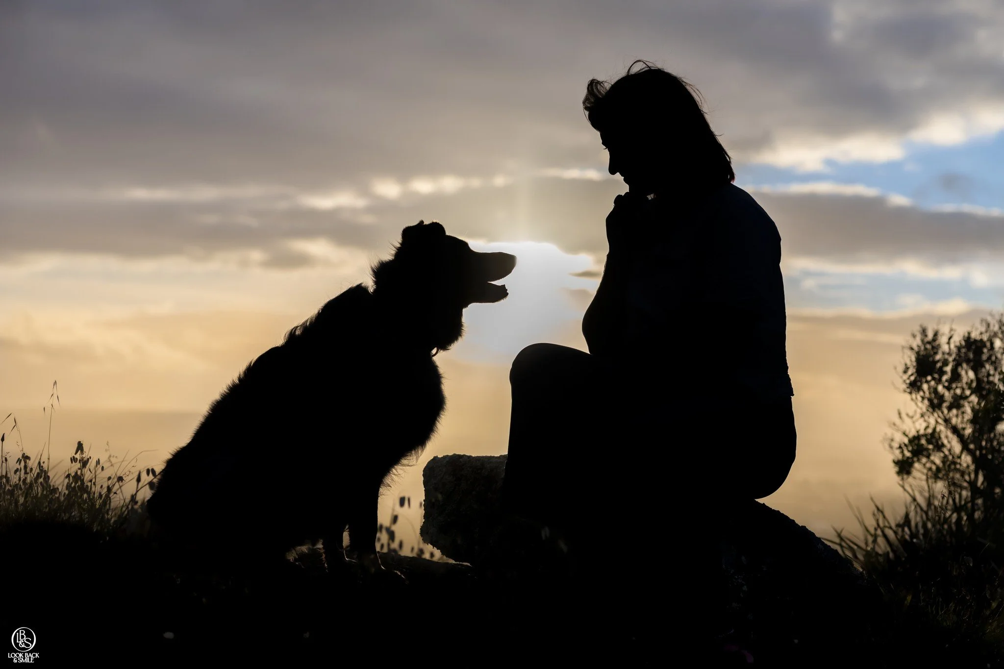 <3  Gracie and Enola <3  Dog Mum Project

What an incredible shoot on Saturday night with Gracie and Enola.  We had an incredible sunset with muted tones and we had the most fun capturing Enola jumping and playing like the busy girl she is, but