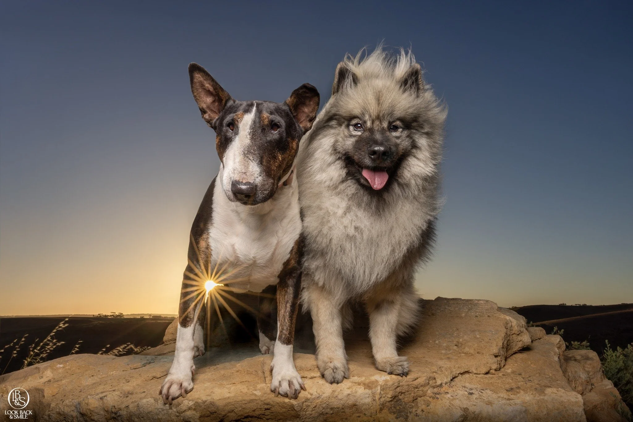 Got an Odd-Couple?

Show us your odd couple. <3