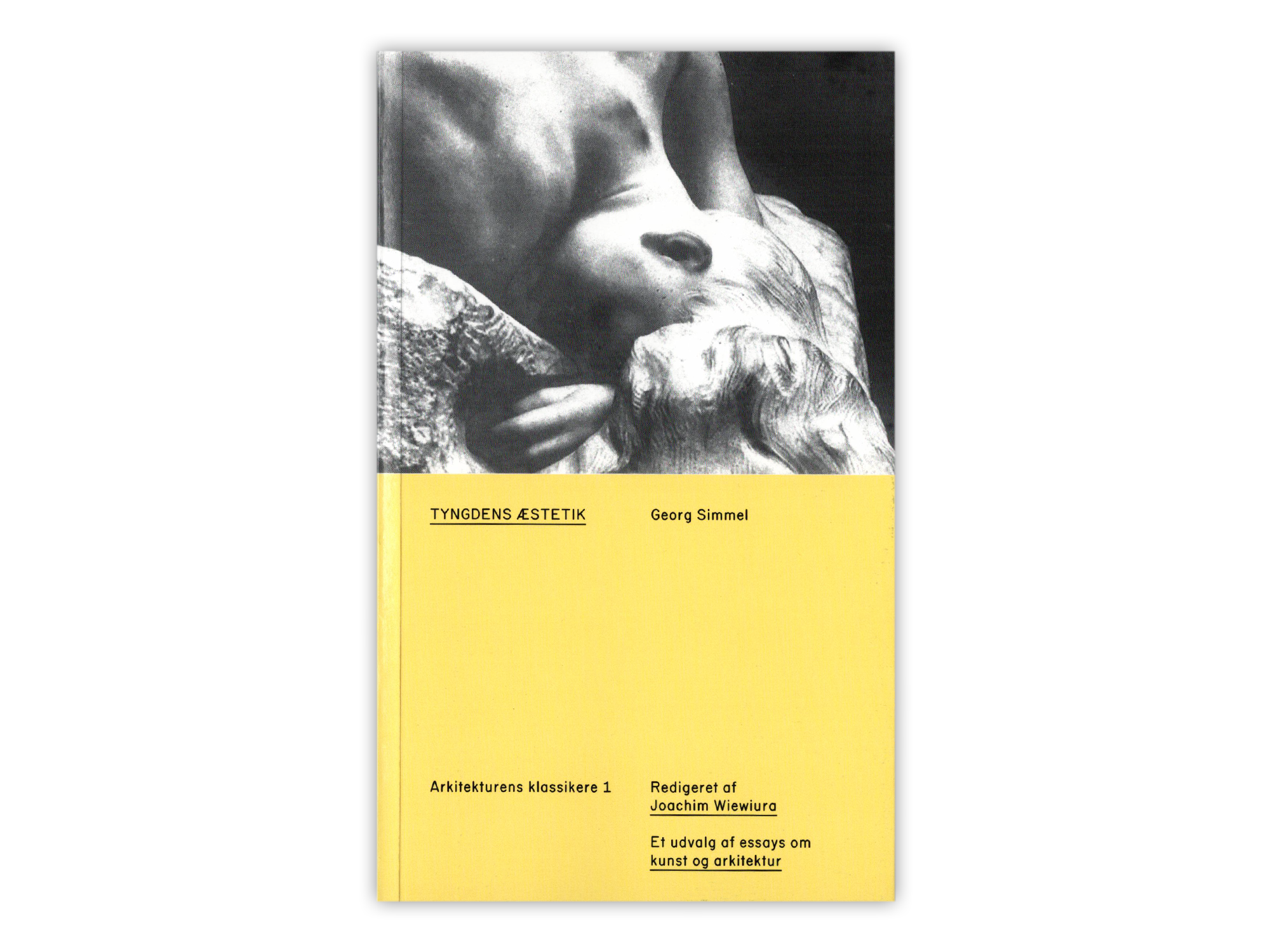 Georg Simmel_cover.png