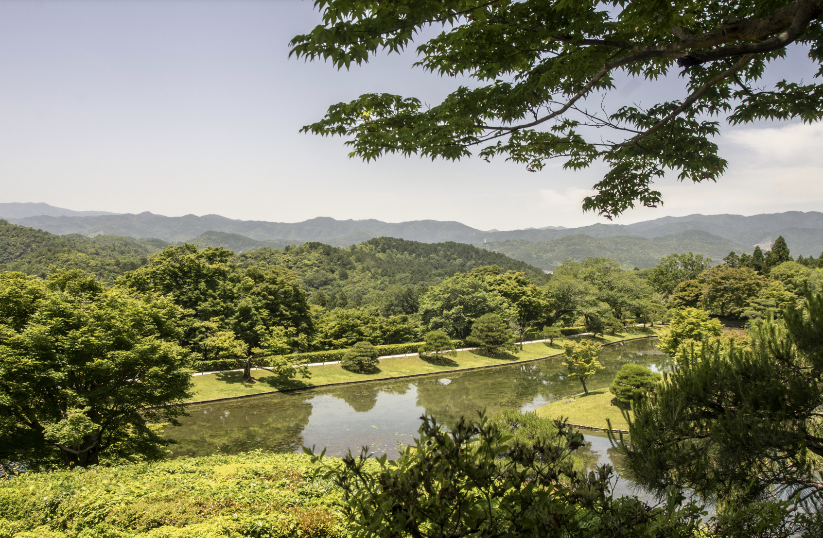 Screenshot 2024-08-21 at 13.05.29.png