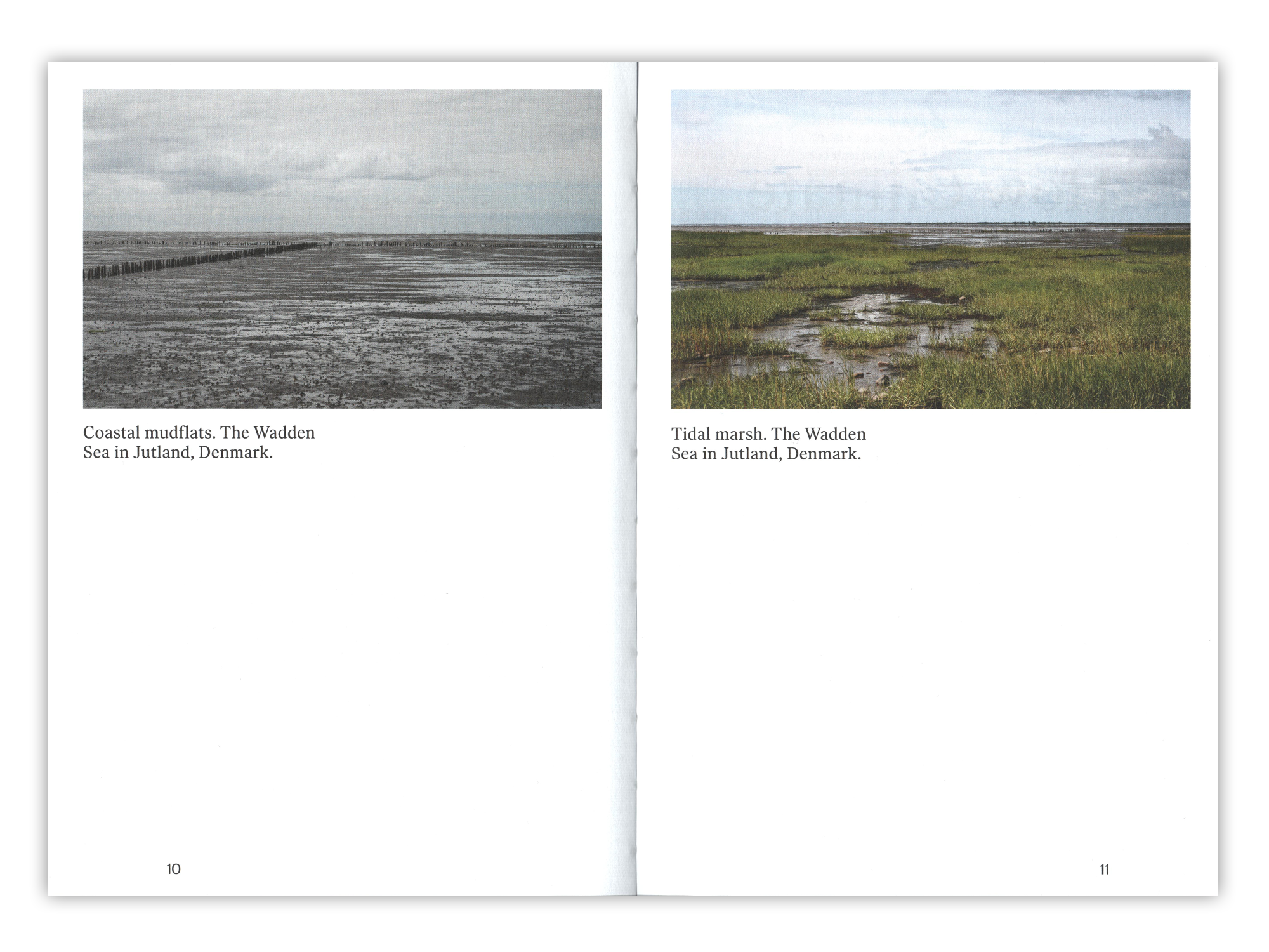 urban shores_3.png