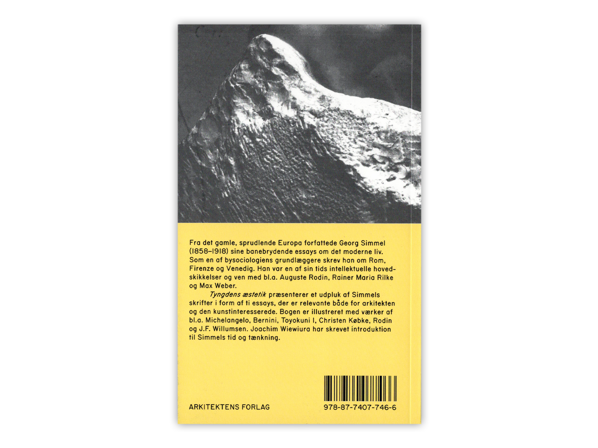 Georg Simmel_cover_back.png