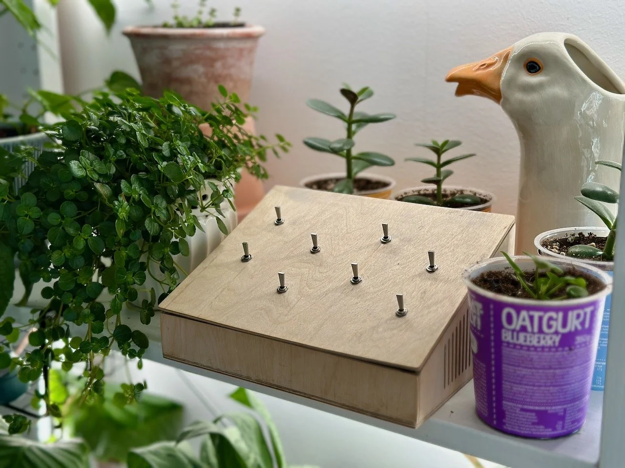 sonimachine - 1.jpeg